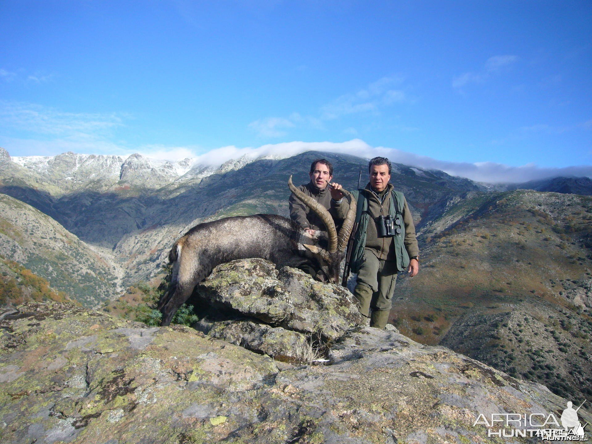 Hunting Gredos Ibex in Spain