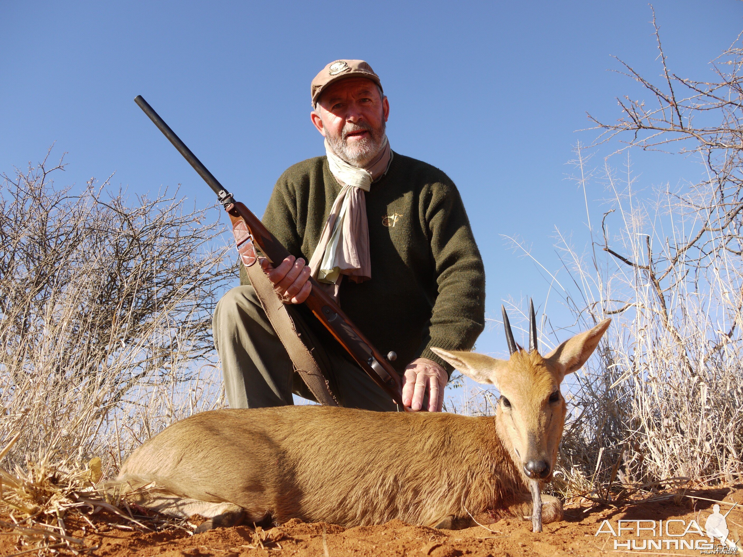 Hunting Grey Duiker in Namibia