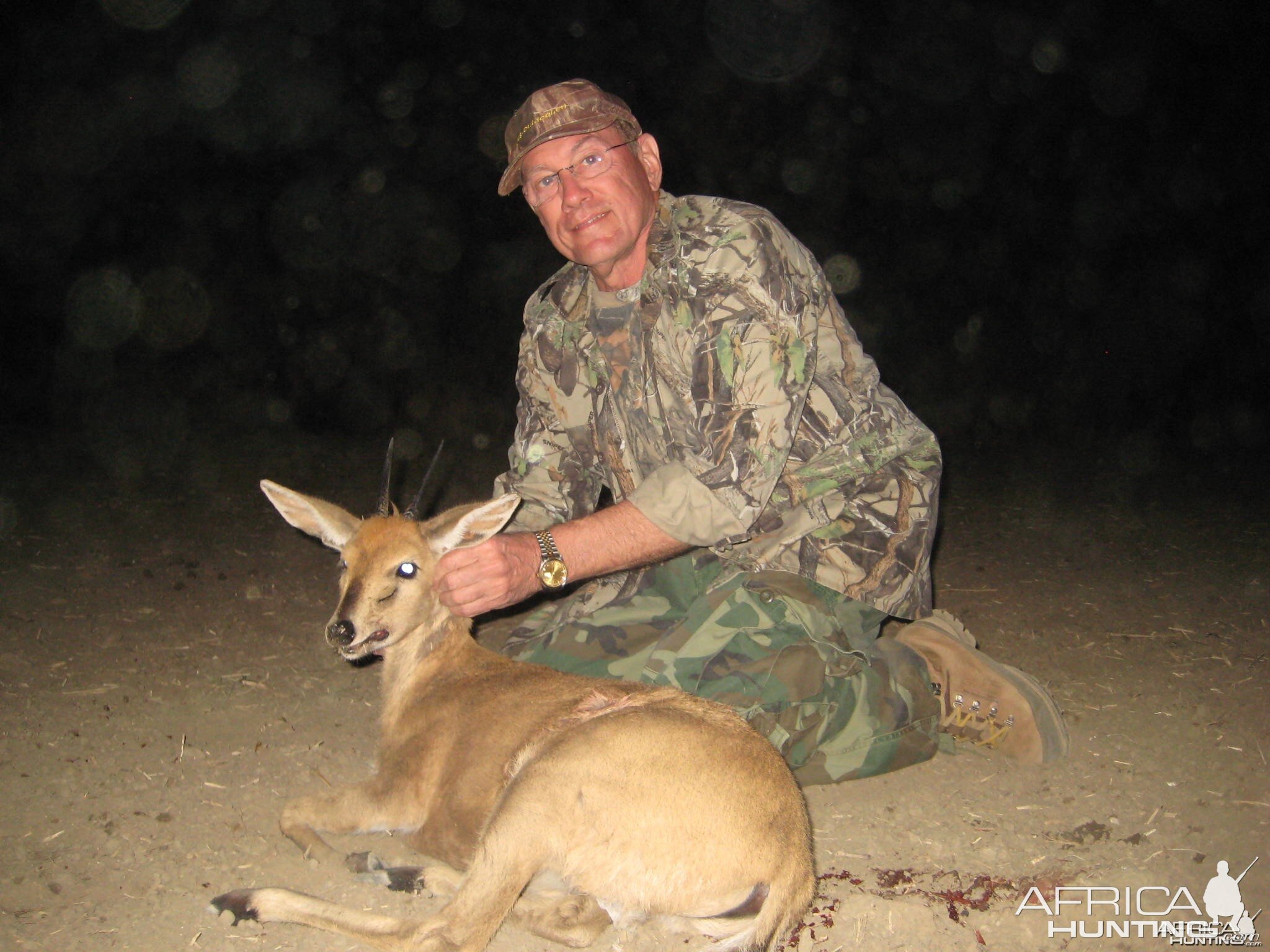 Hunting Grey Duiker in Namibia