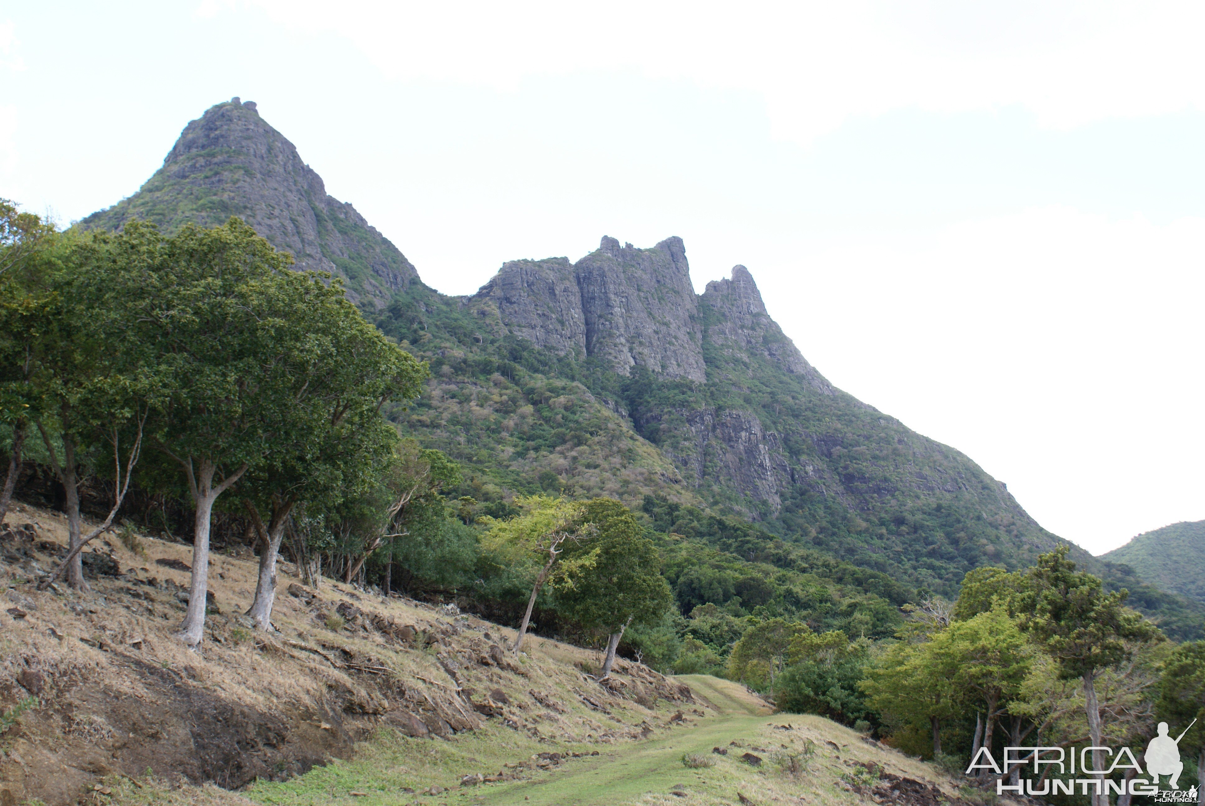 Hunting Grounds in Mauritius