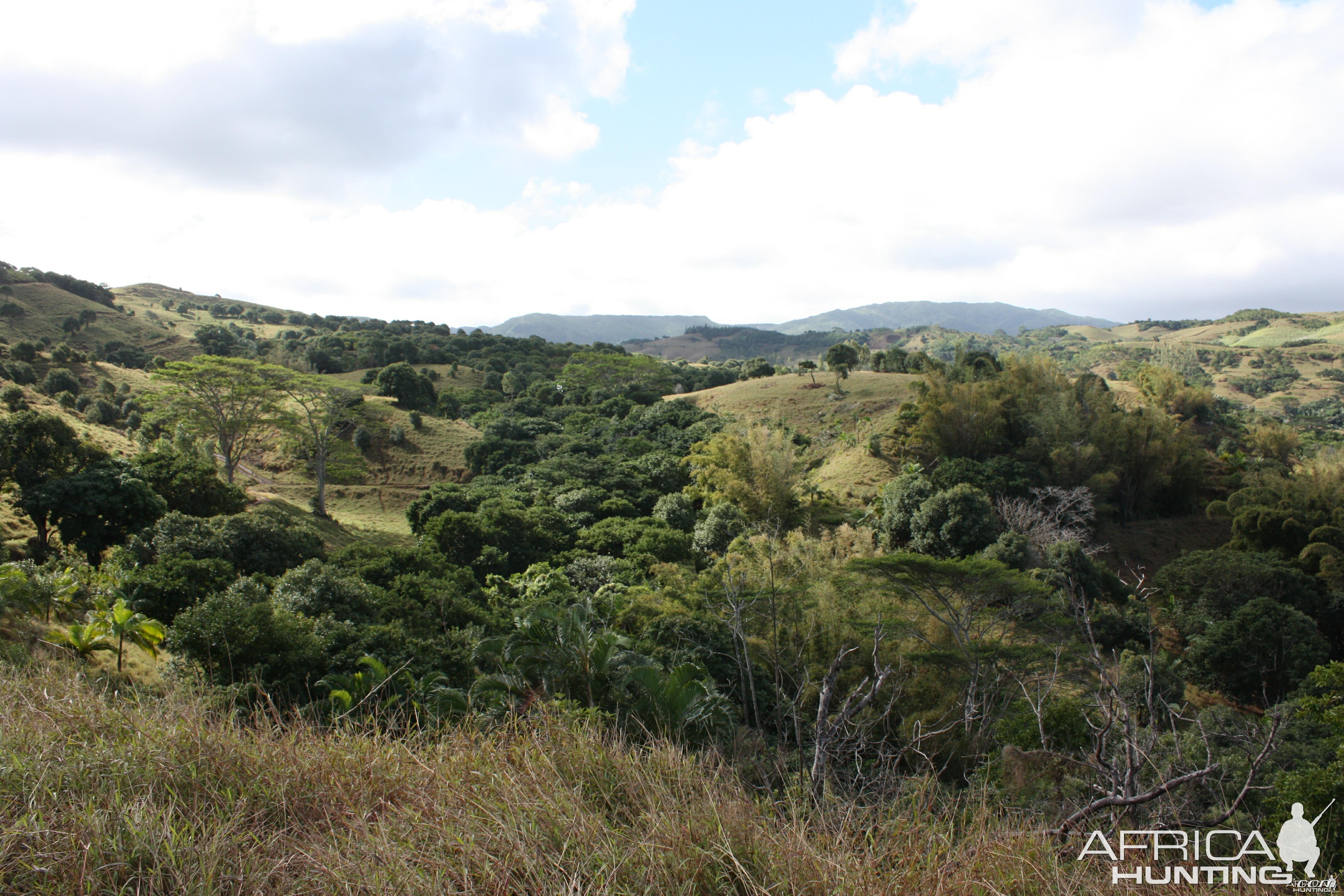 Hunting grounds overlook in Mauritius