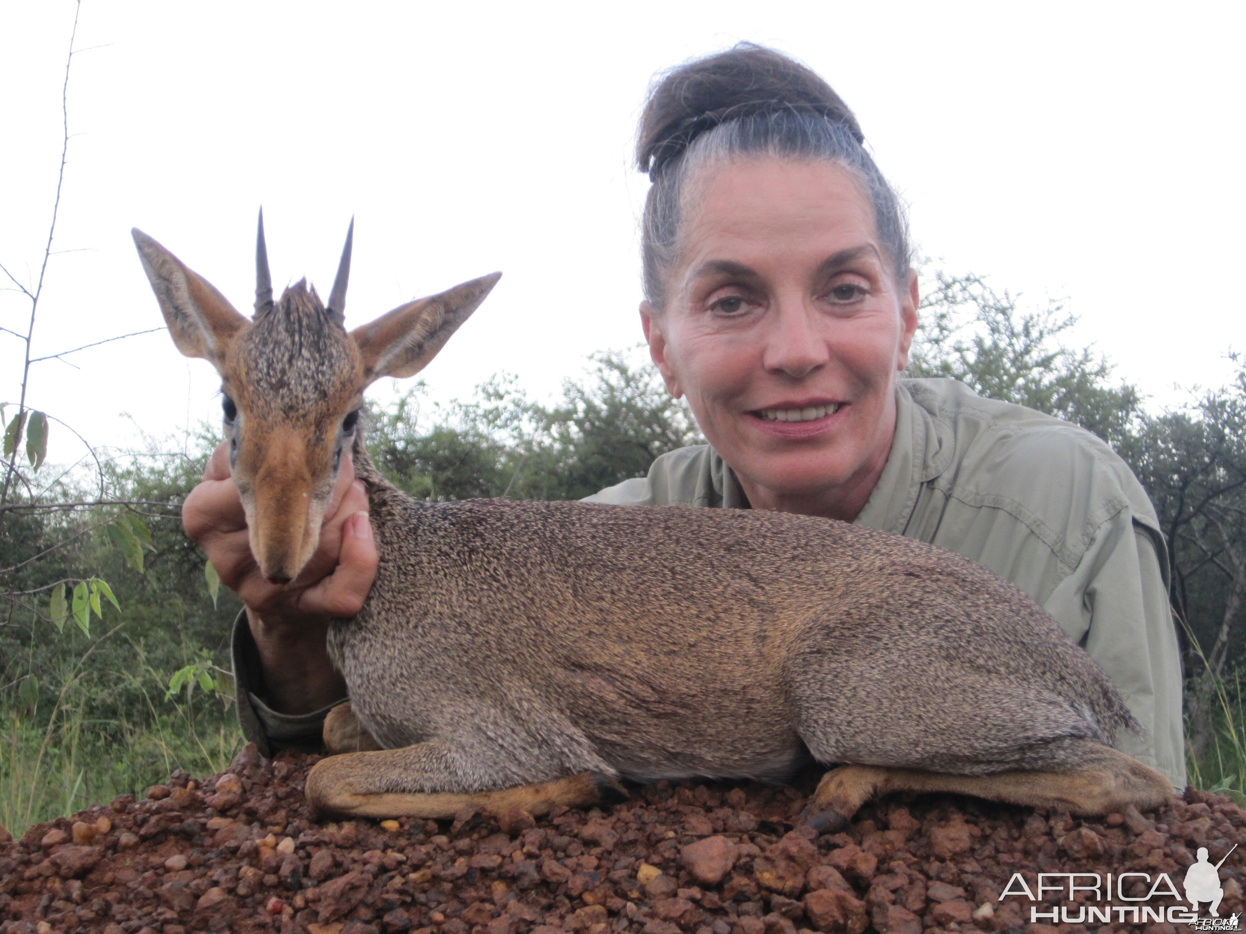 hunting Gunther's Dik-Dik Uganda