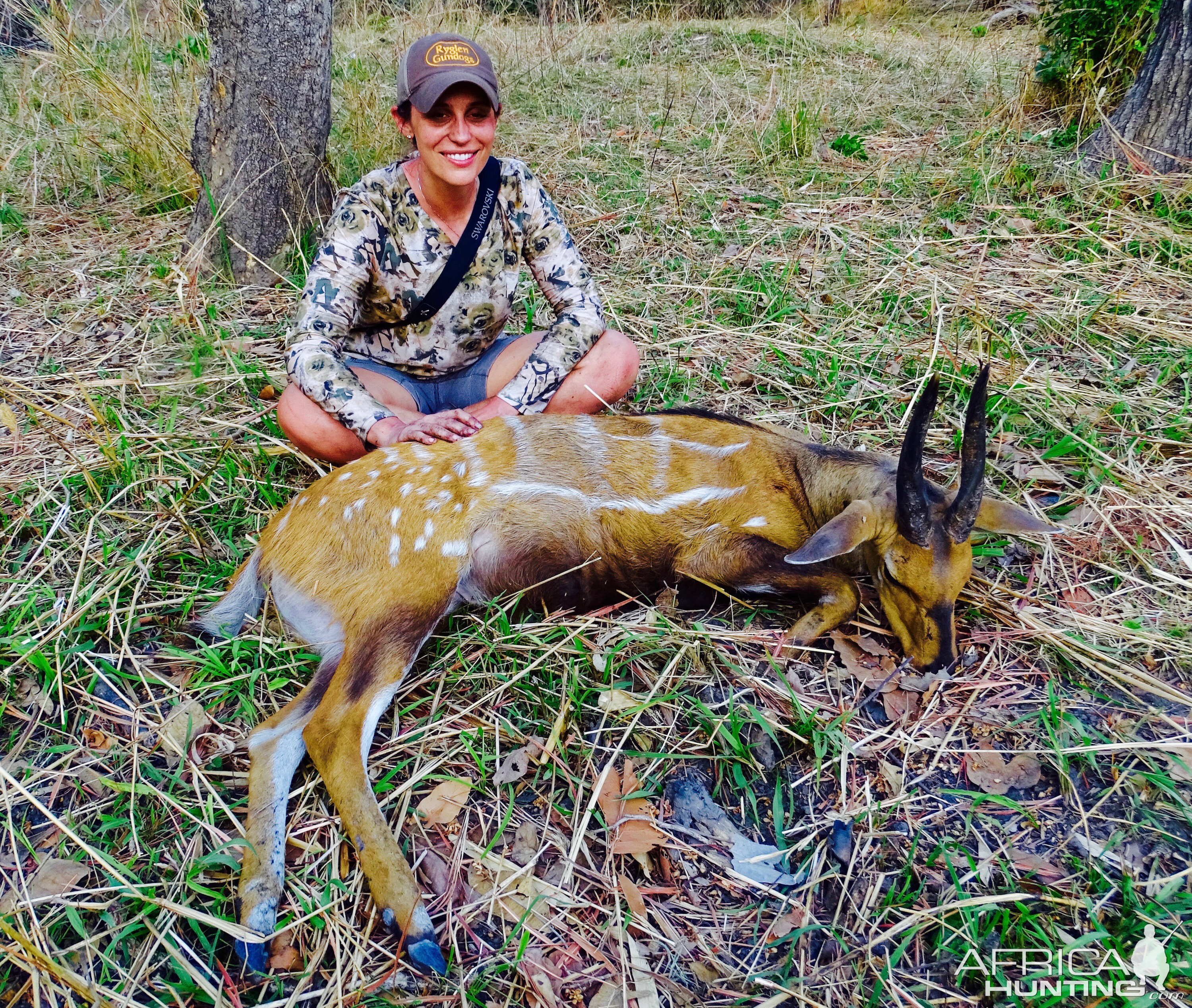 Hunting Harnessed Bushbuck Benin