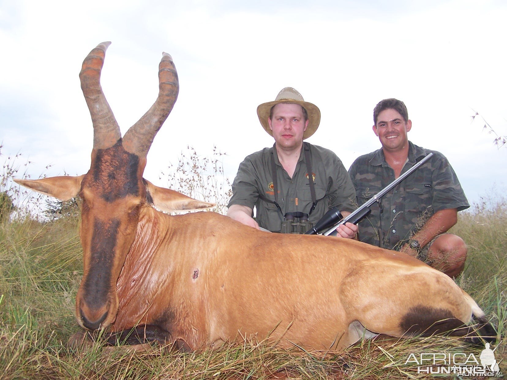 Hunting Hartebeest Kimberley South Africa