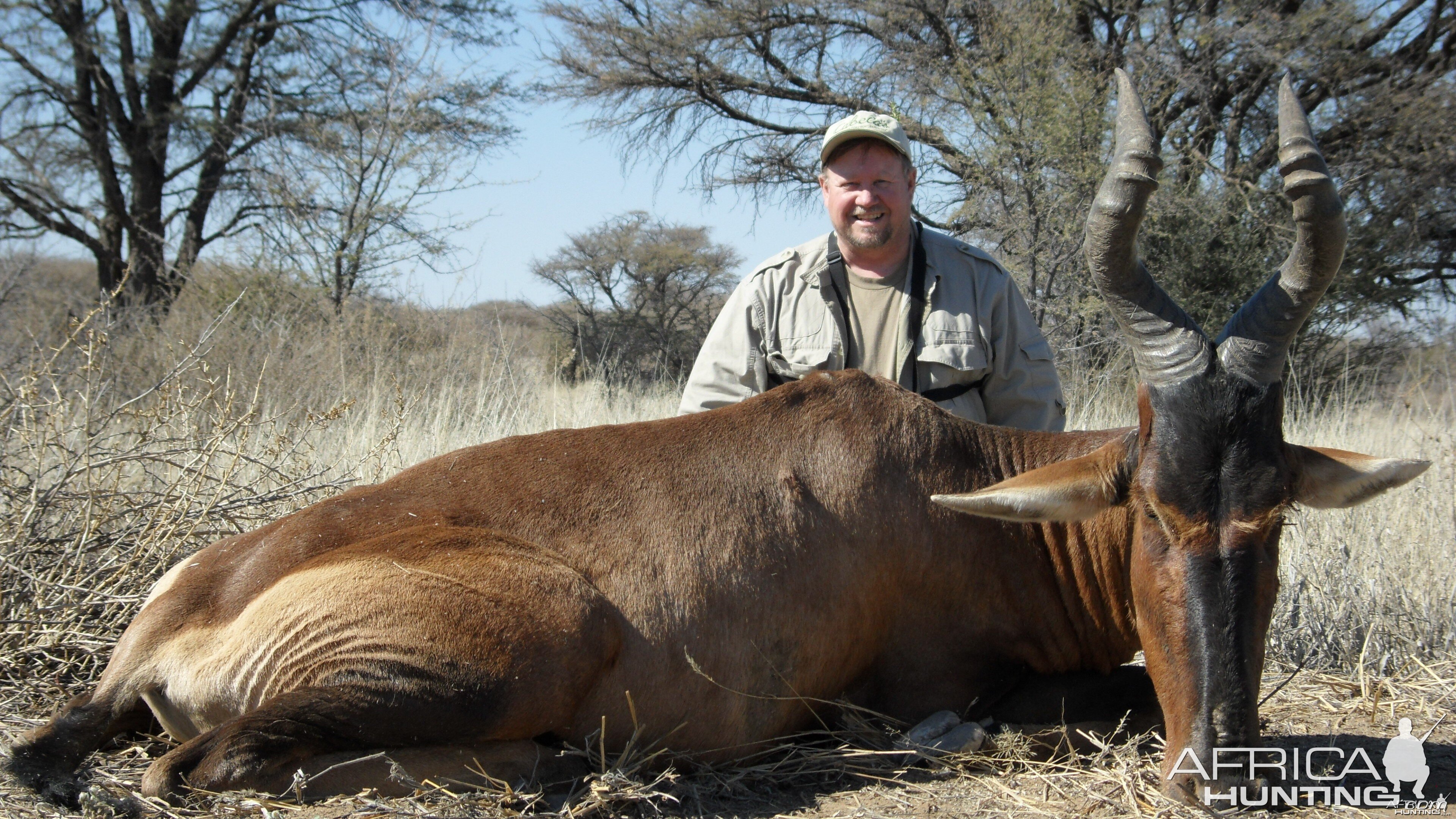 Hunting Hartebeest