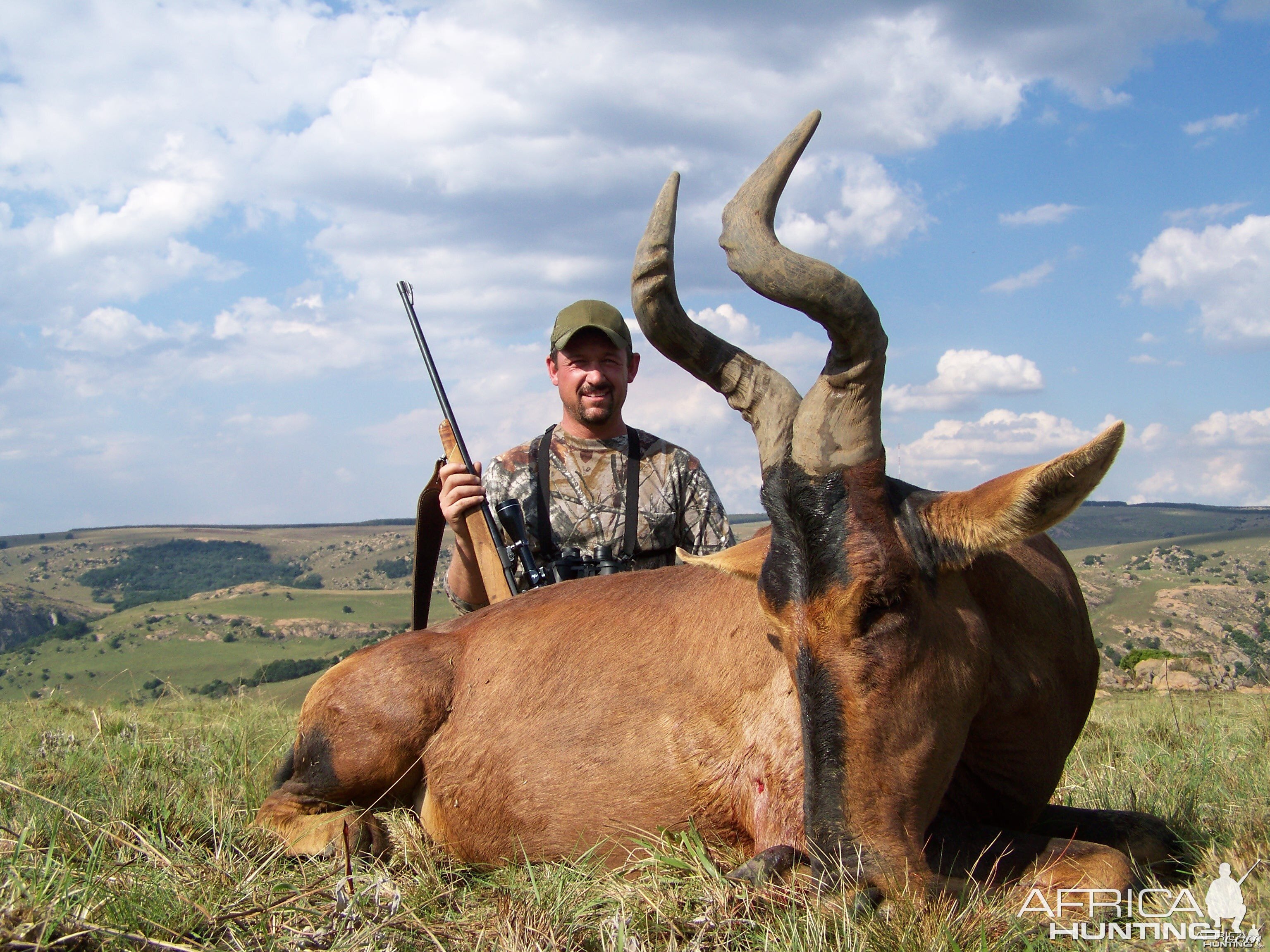 Hunting Hartebeest