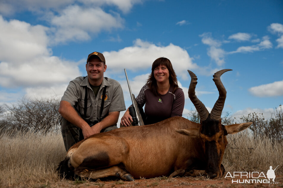 Hunting Hartebeest