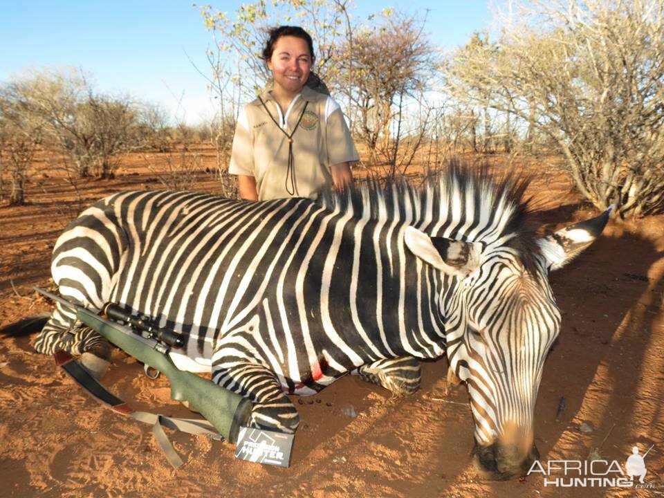 Hunting Hartmann Mountain Zebra Namibia