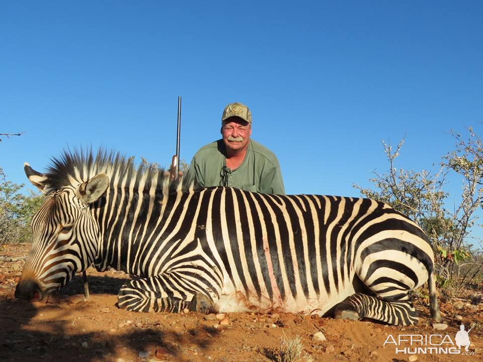 Hunting Hartmann Mountain Zebra Namibia