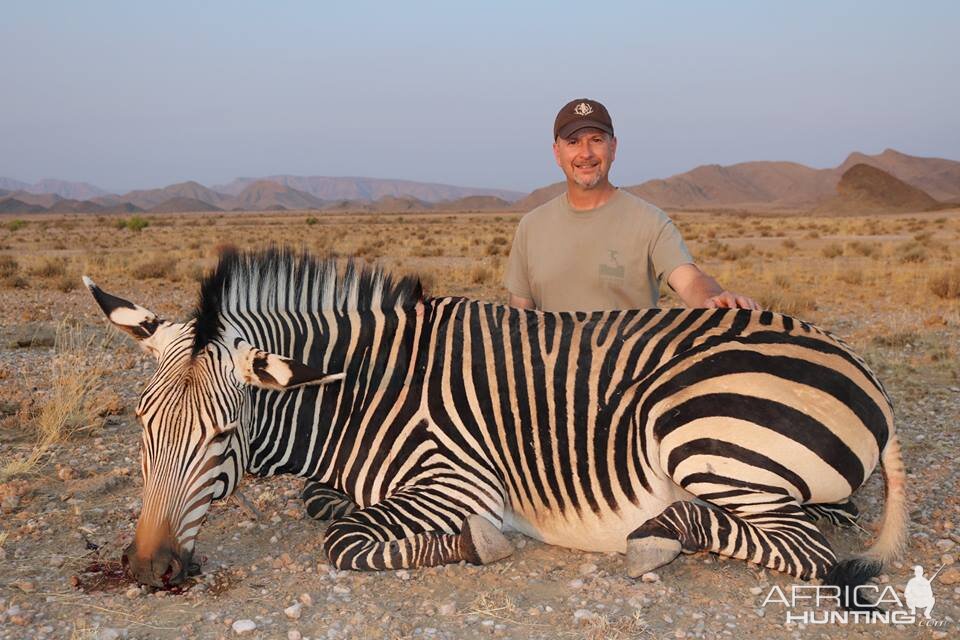 Hunting Hartmann Mountain Zebra Namibia