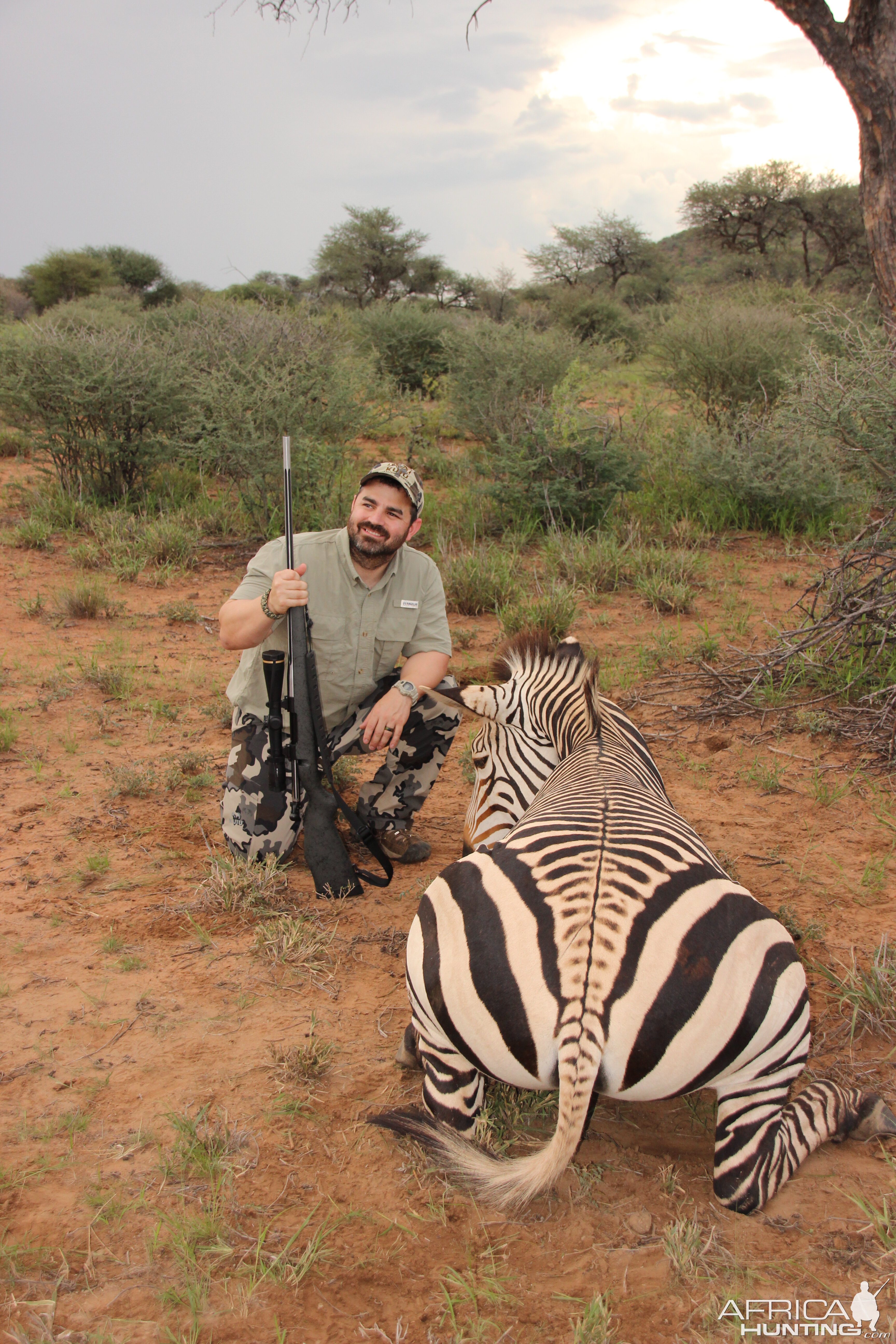 Hunting Hartmann Mountain Zebra Namibia