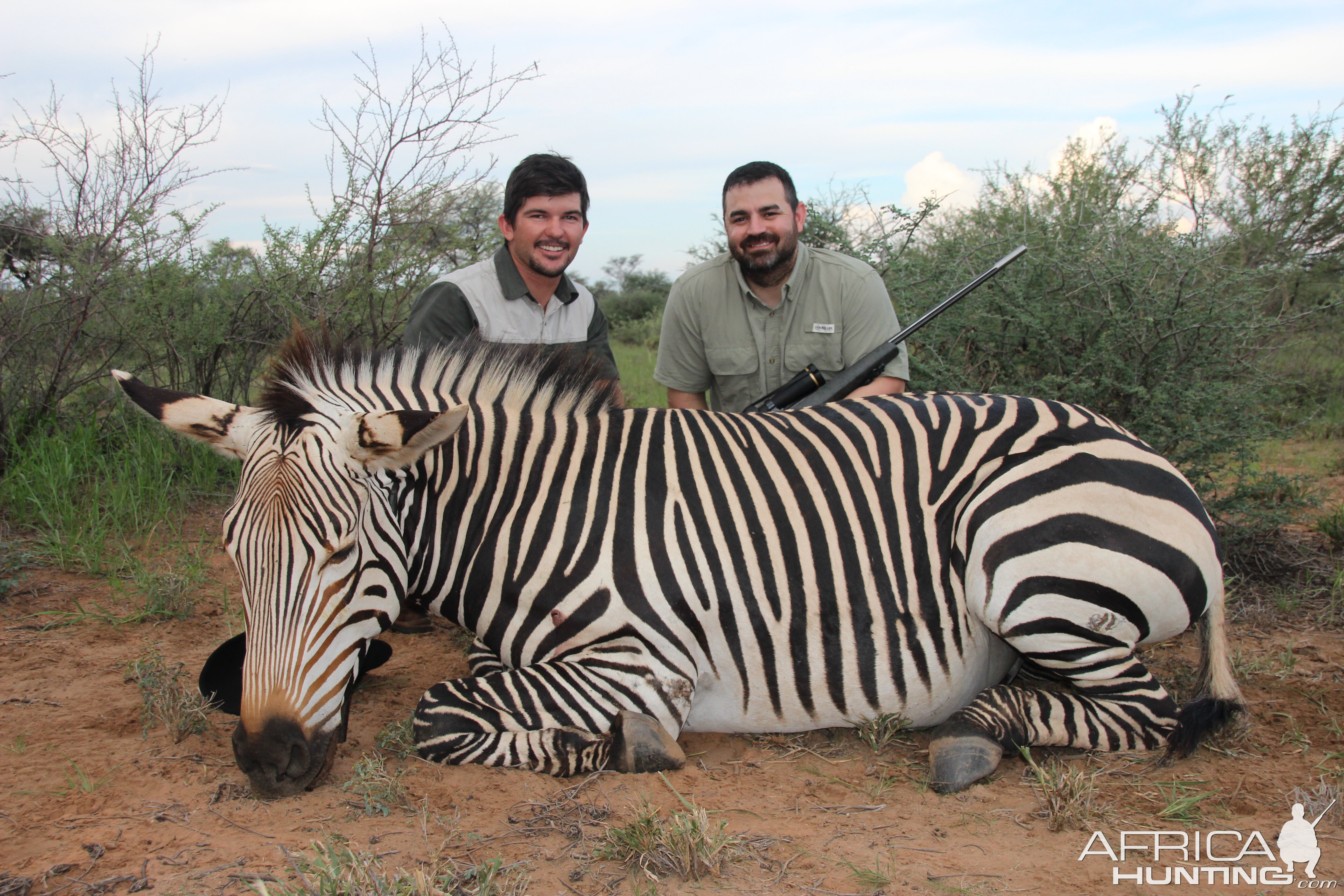 Hunting Hartmann Mountain Zebra Namibia