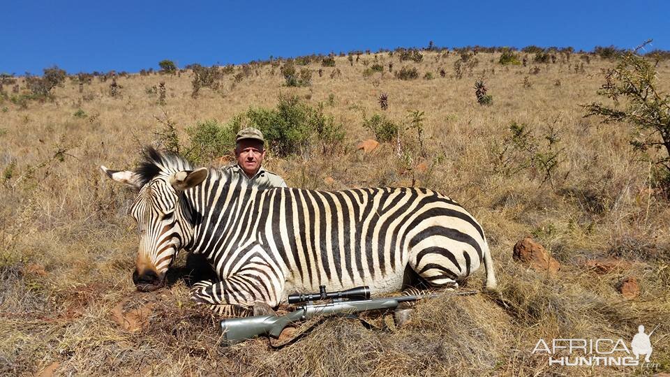 Hunting Hartmann Mountain Zebra South Africa