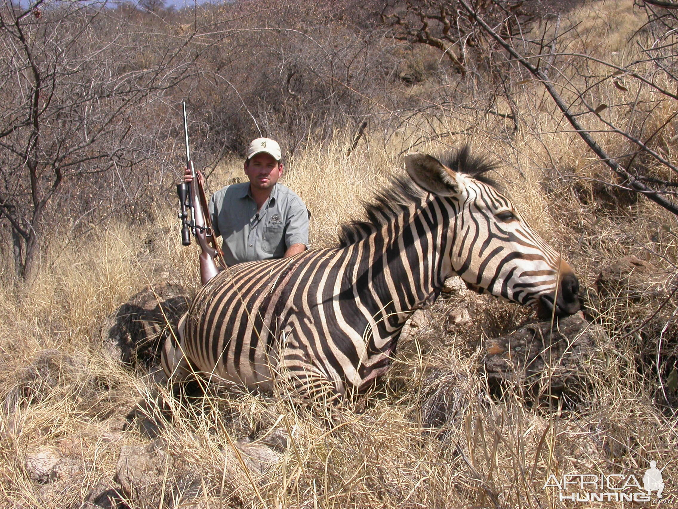 Hunting Hartmann's Mountain Zebra in Namibia