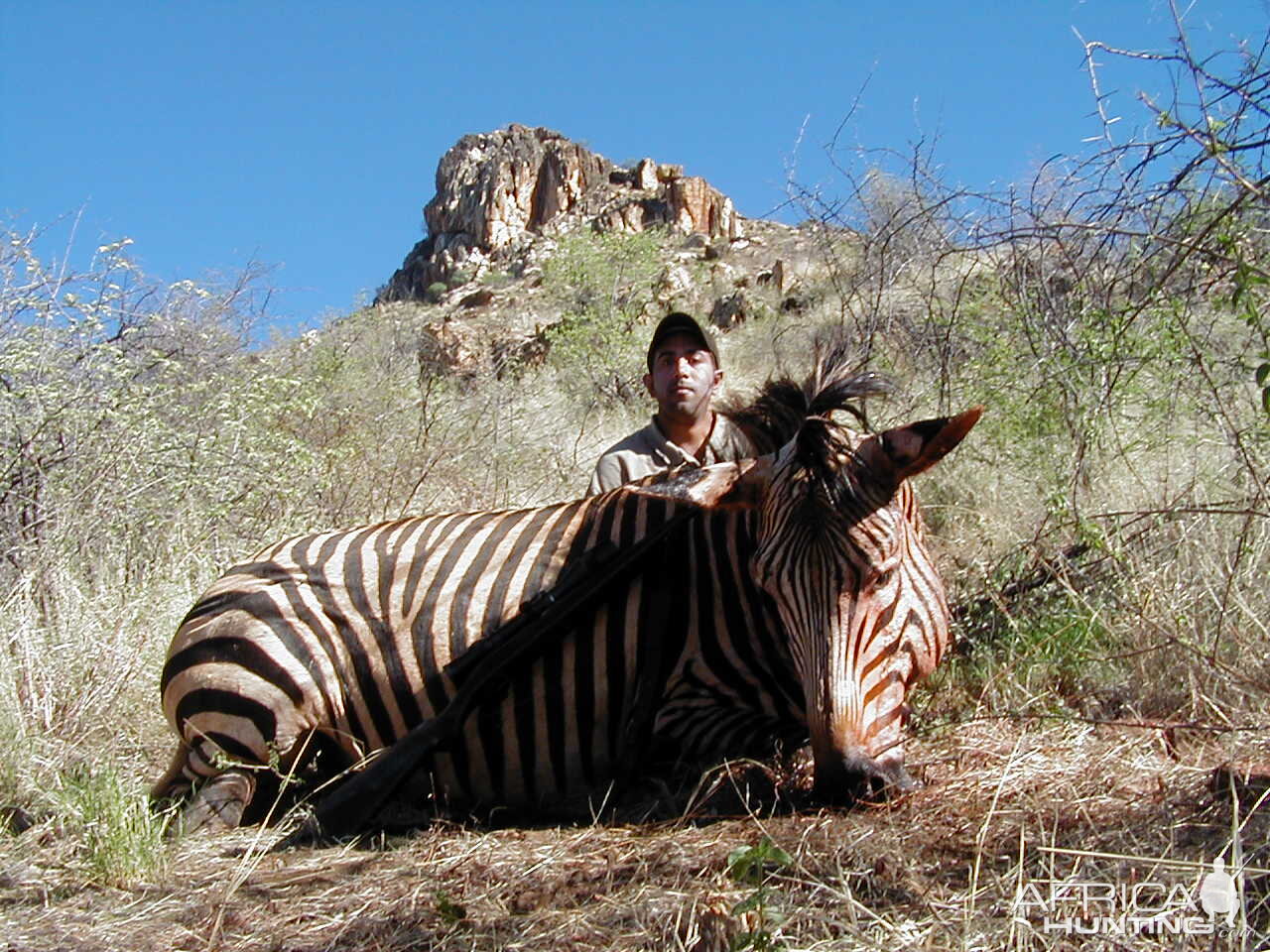 Hunting Hartmann's Mountain Zebra in Namibia