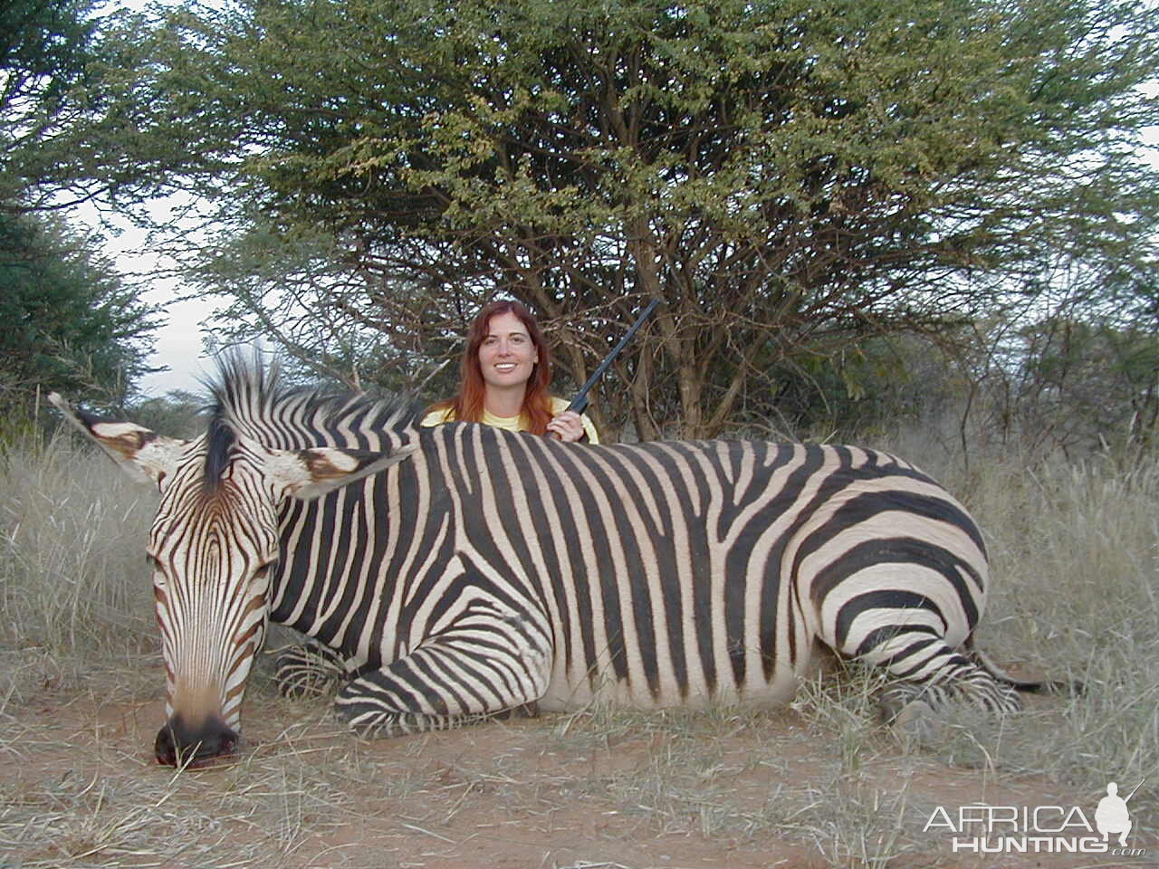 Hunting Hartmann's Mountain Zebra in Namibia