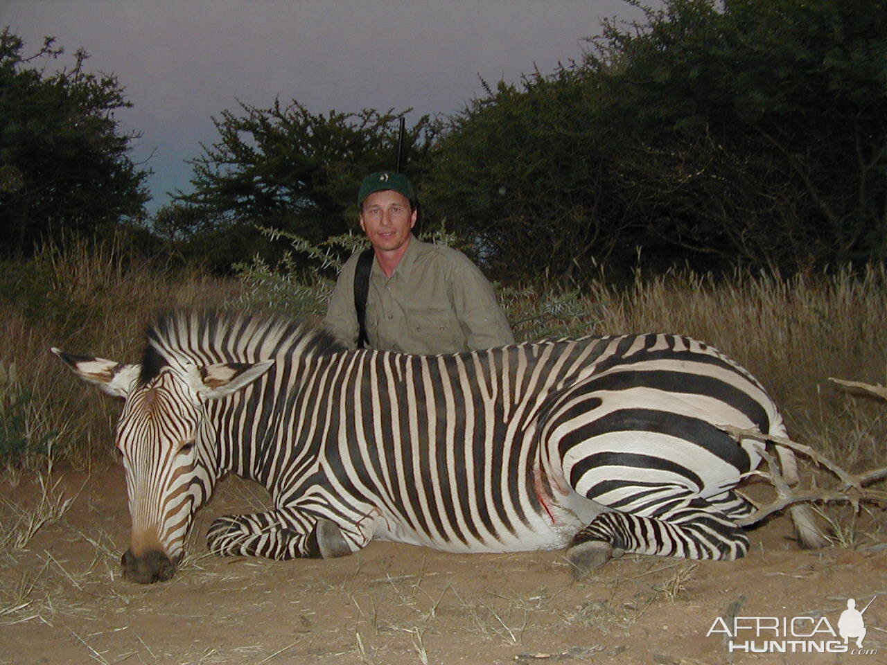 Hunting Hartmann's Mountain Zebra in Namibia