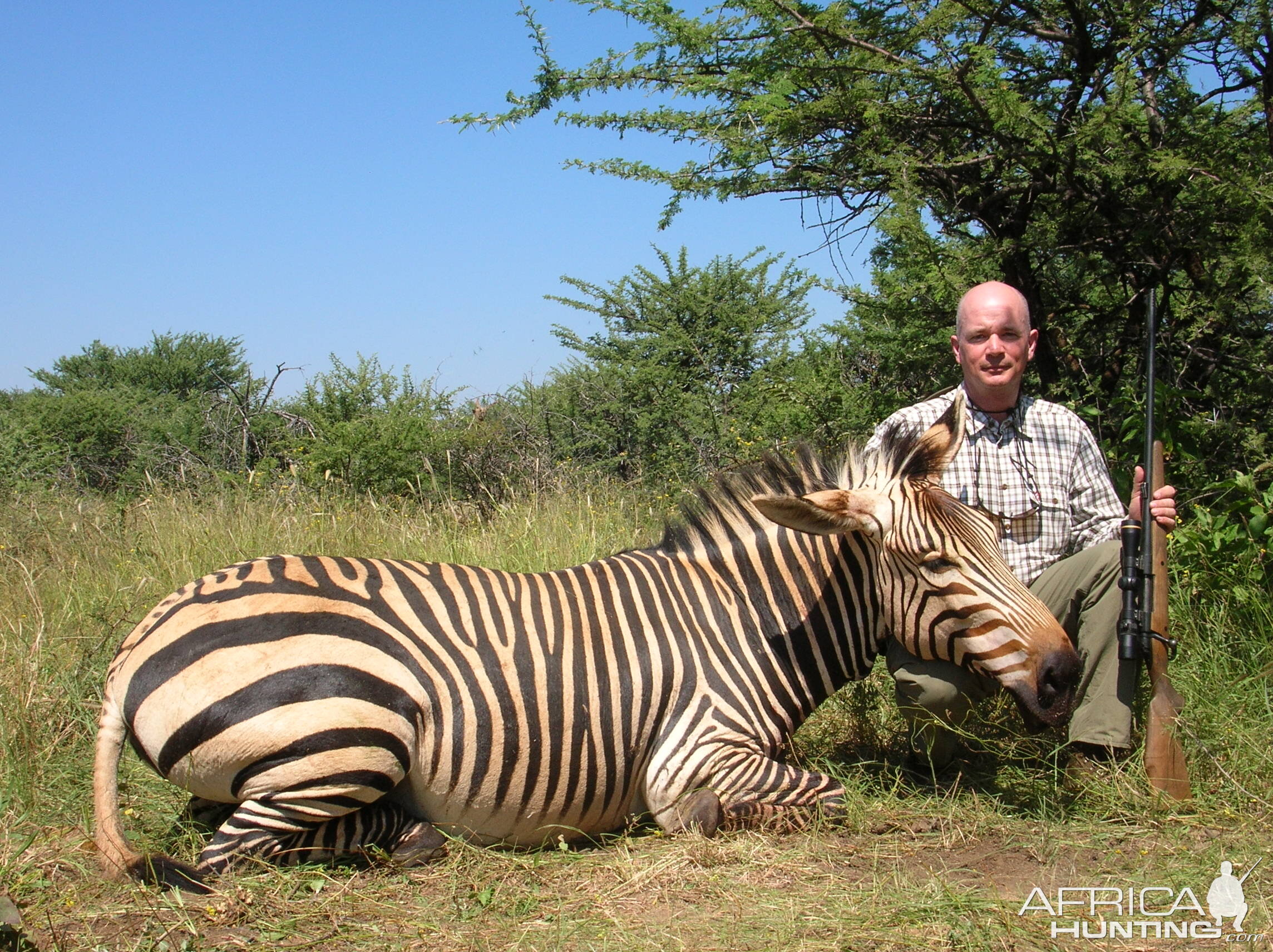 Hunting Hartmann's Mountain Zebra in Namibia