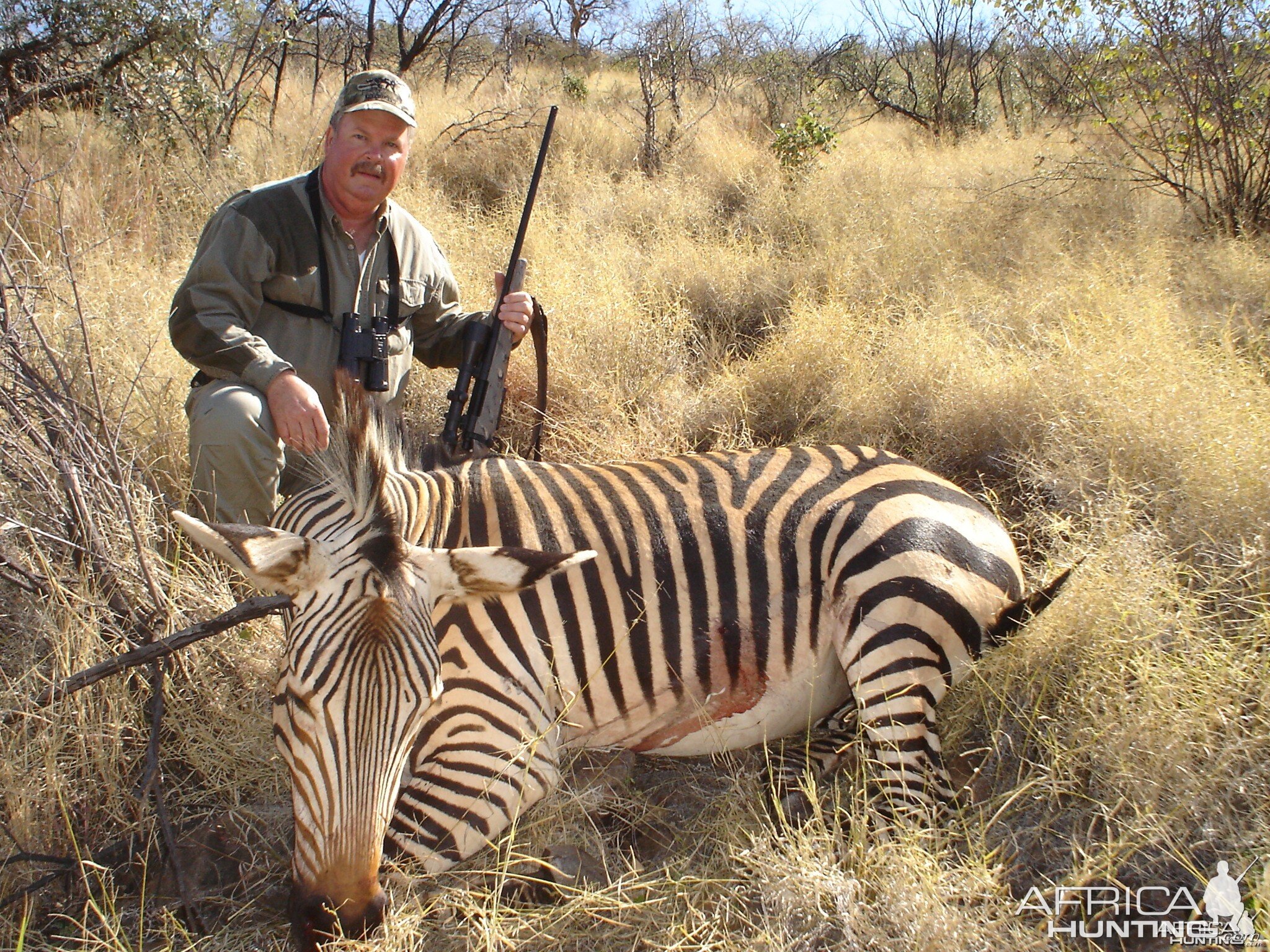 Hunting Hartmann's Mountain Zebra in Namibia