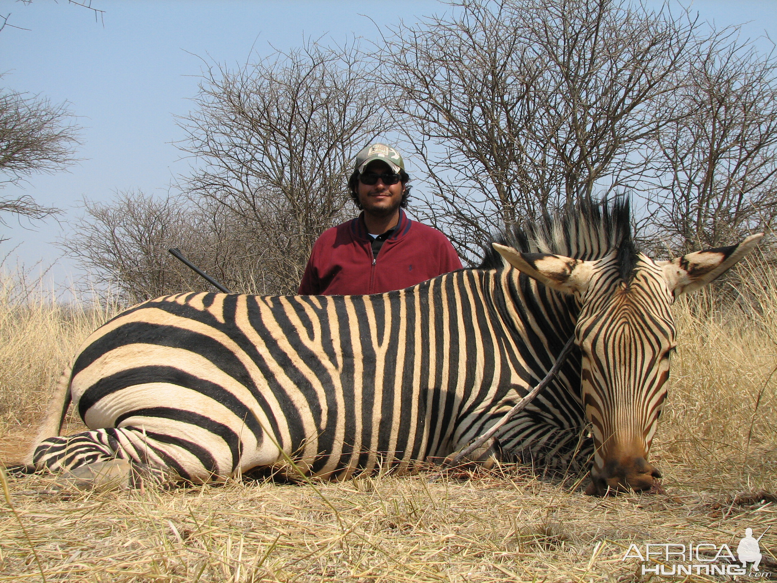 Hunting Hartmann's Mountain Zebra in Namibia