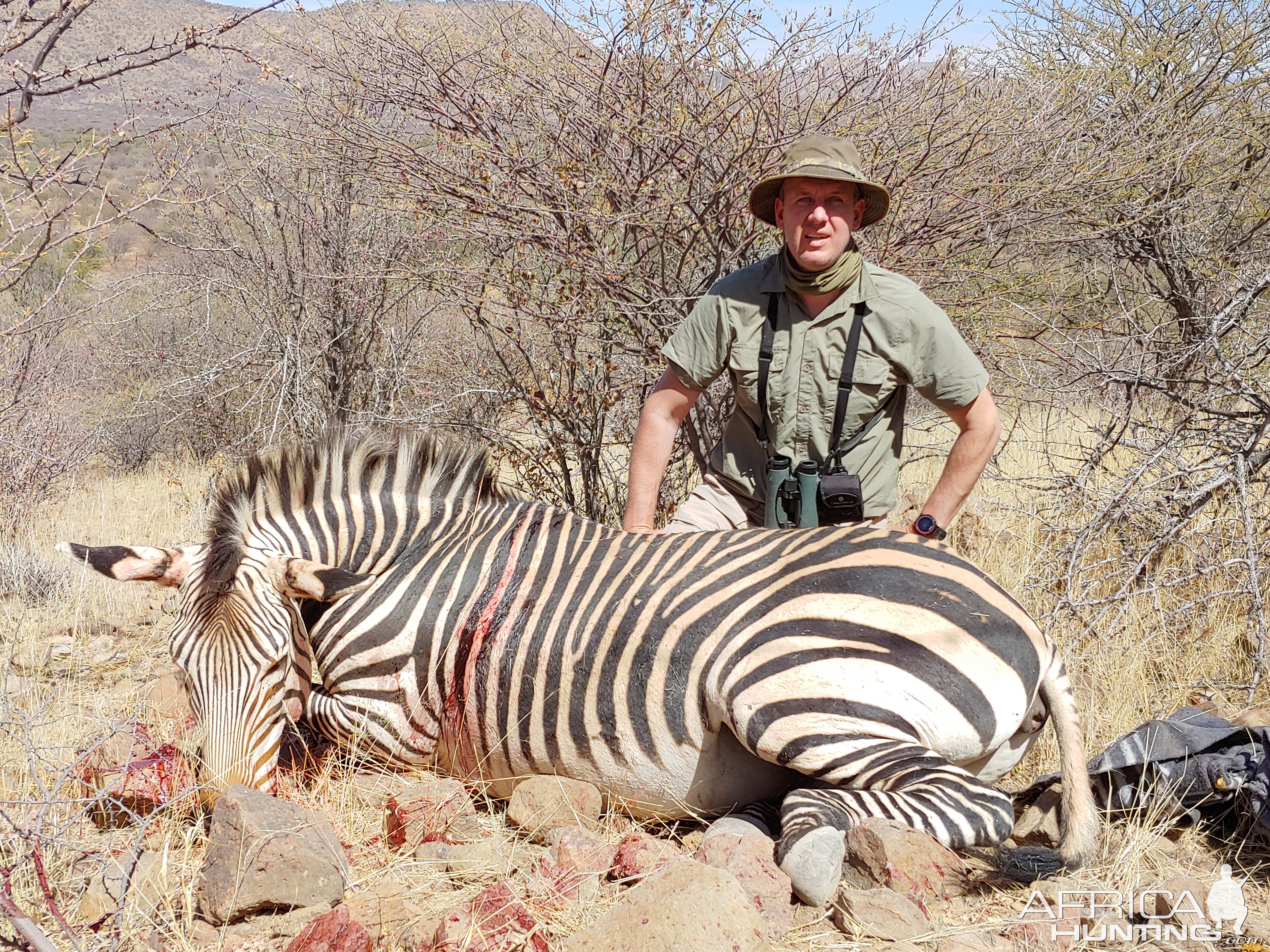 Hunting Hartmann's Mountain Zebra in Namibia