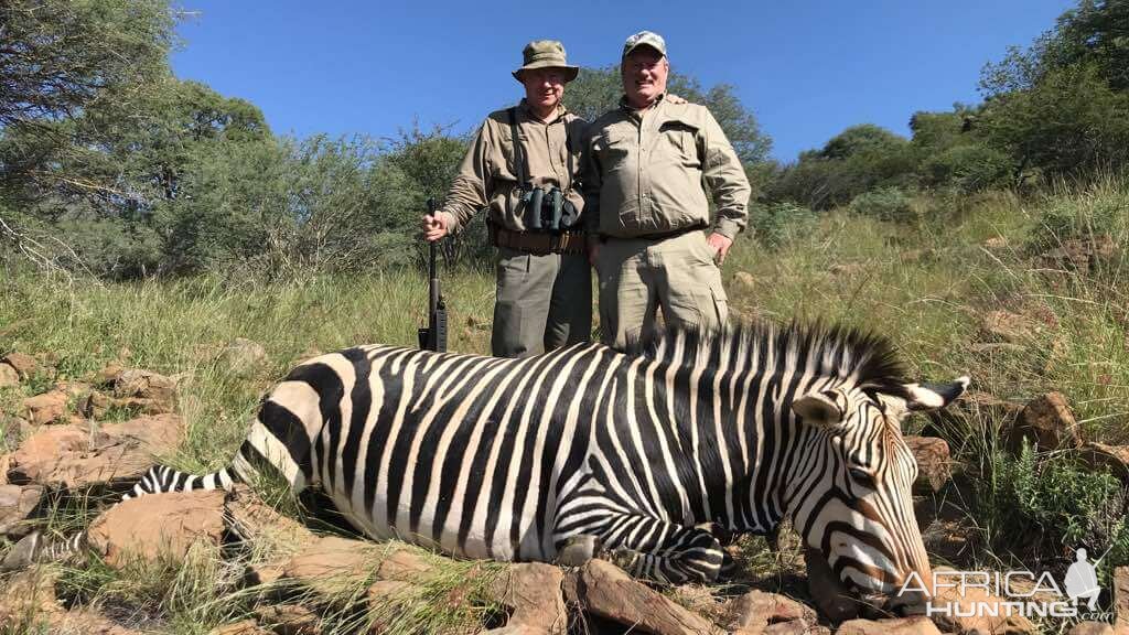 Hunting Hartmann's Mountain Zebra in Namibia