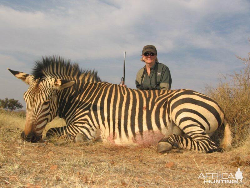 Hunting Hartmann's Mountain Zebra in Namibia