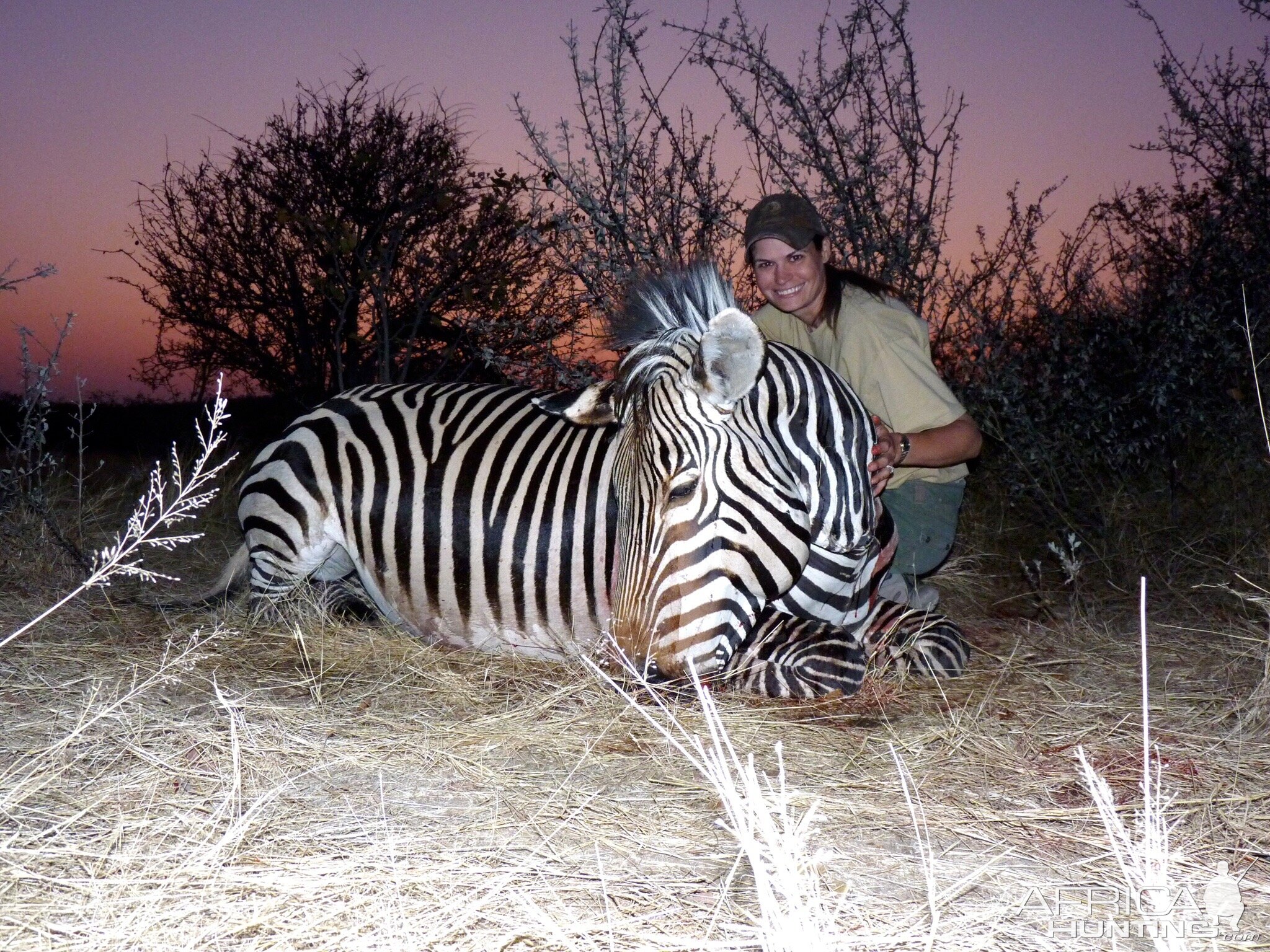 Hunting Hartmann's Mountain Zebra in Namibia