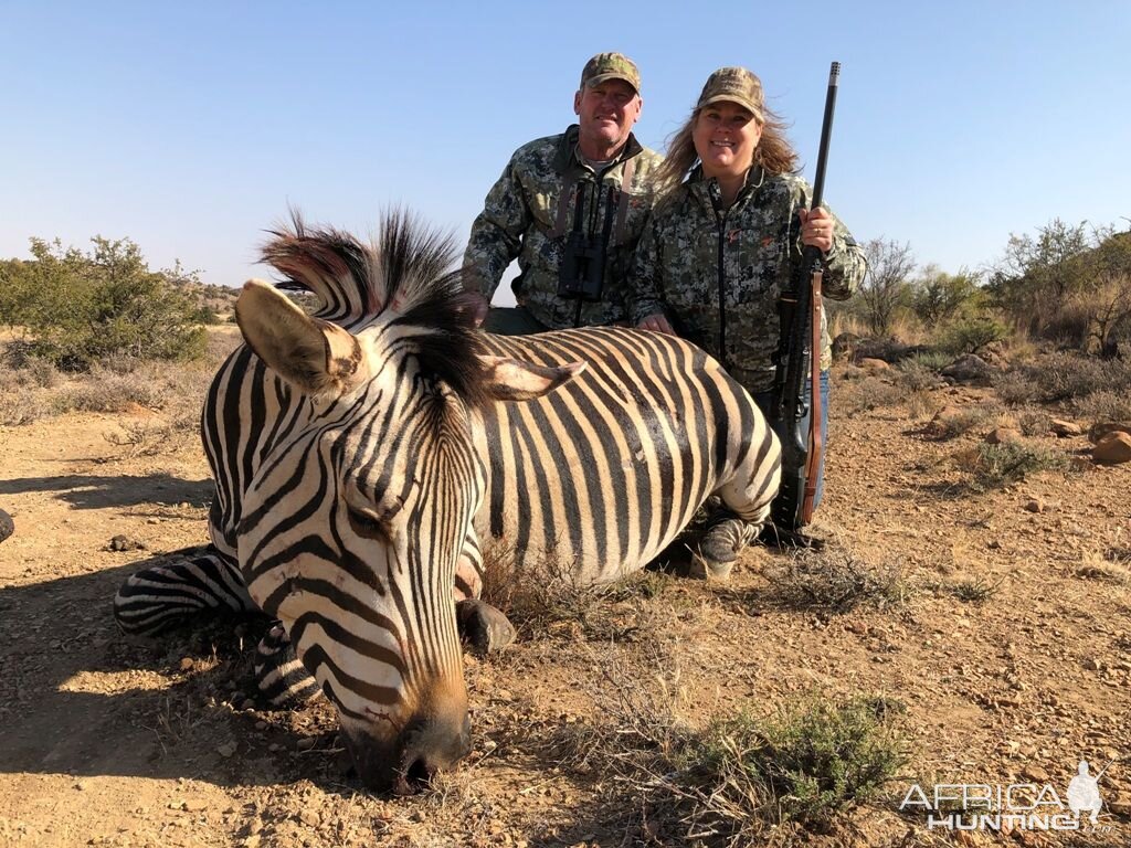 Hunting Hartmann's Mountain Zebra in South Africa