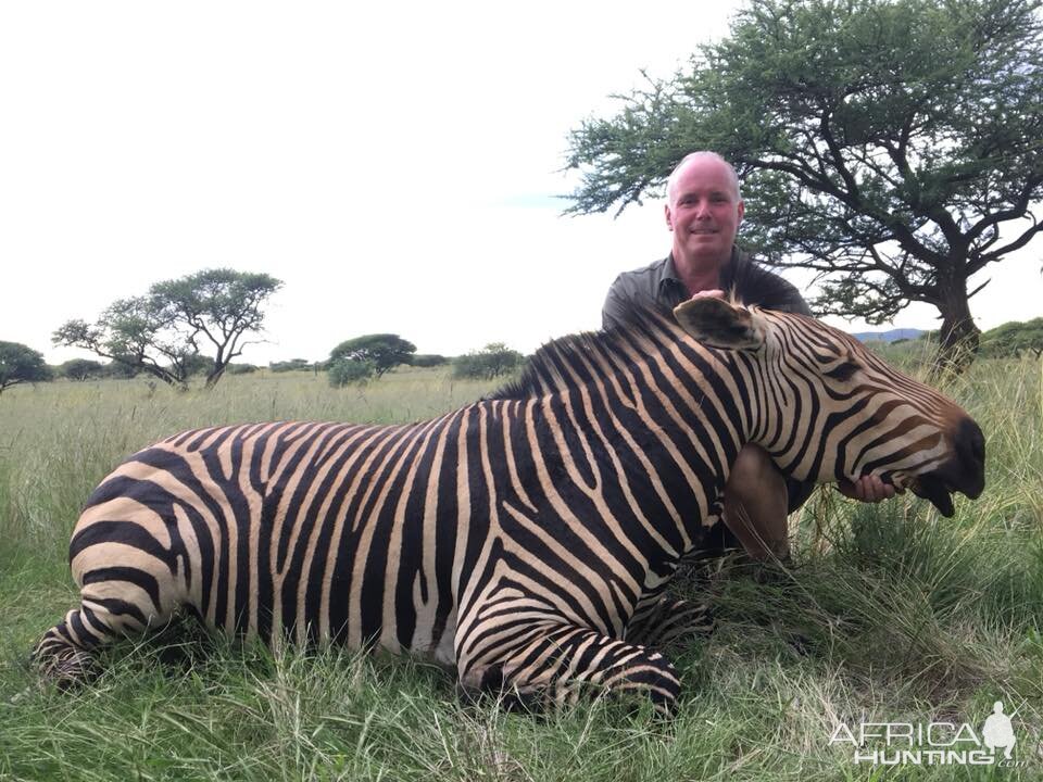 Hunting Hartmann's Mountain Zebra South Africa