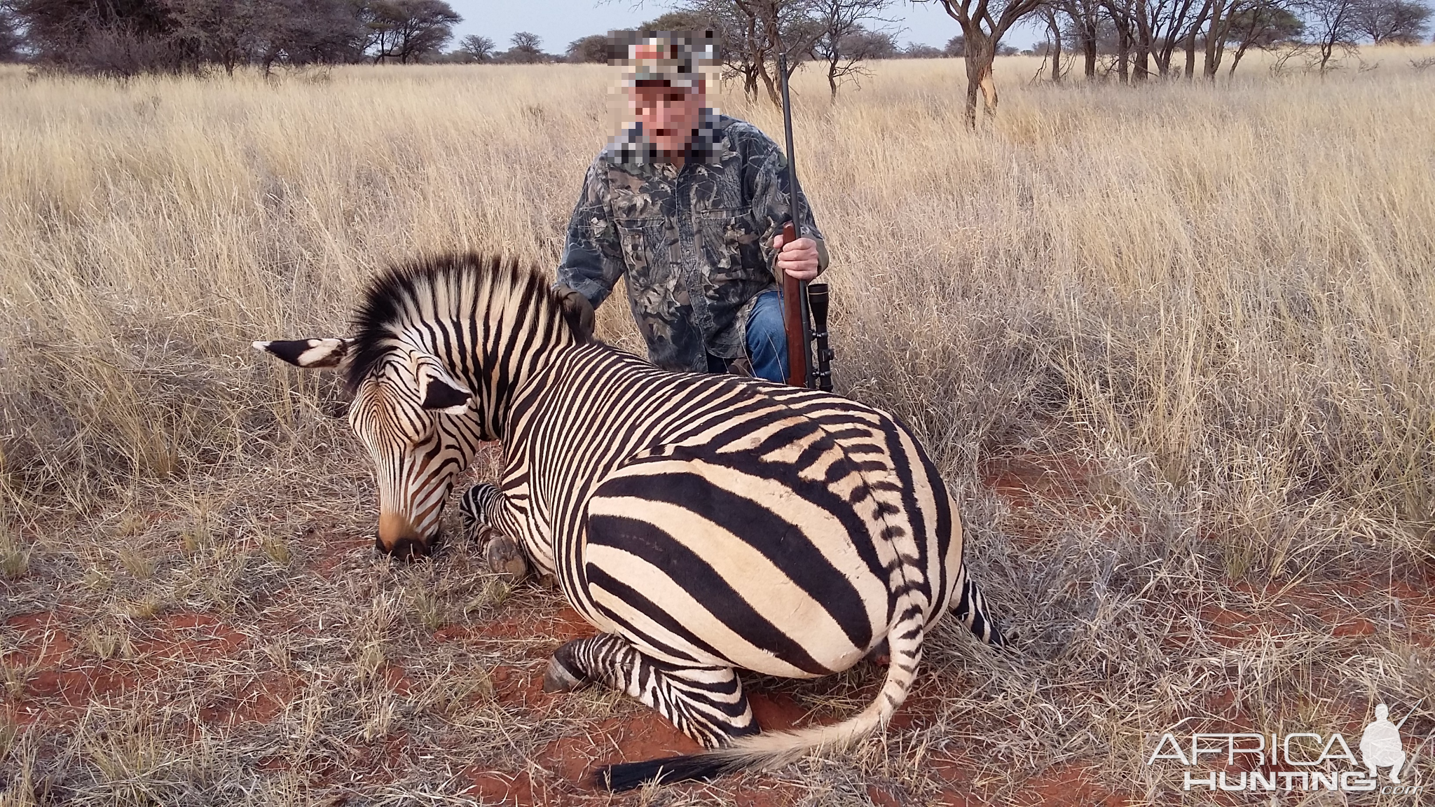 Hunting Hartmann's Mountain Zebra