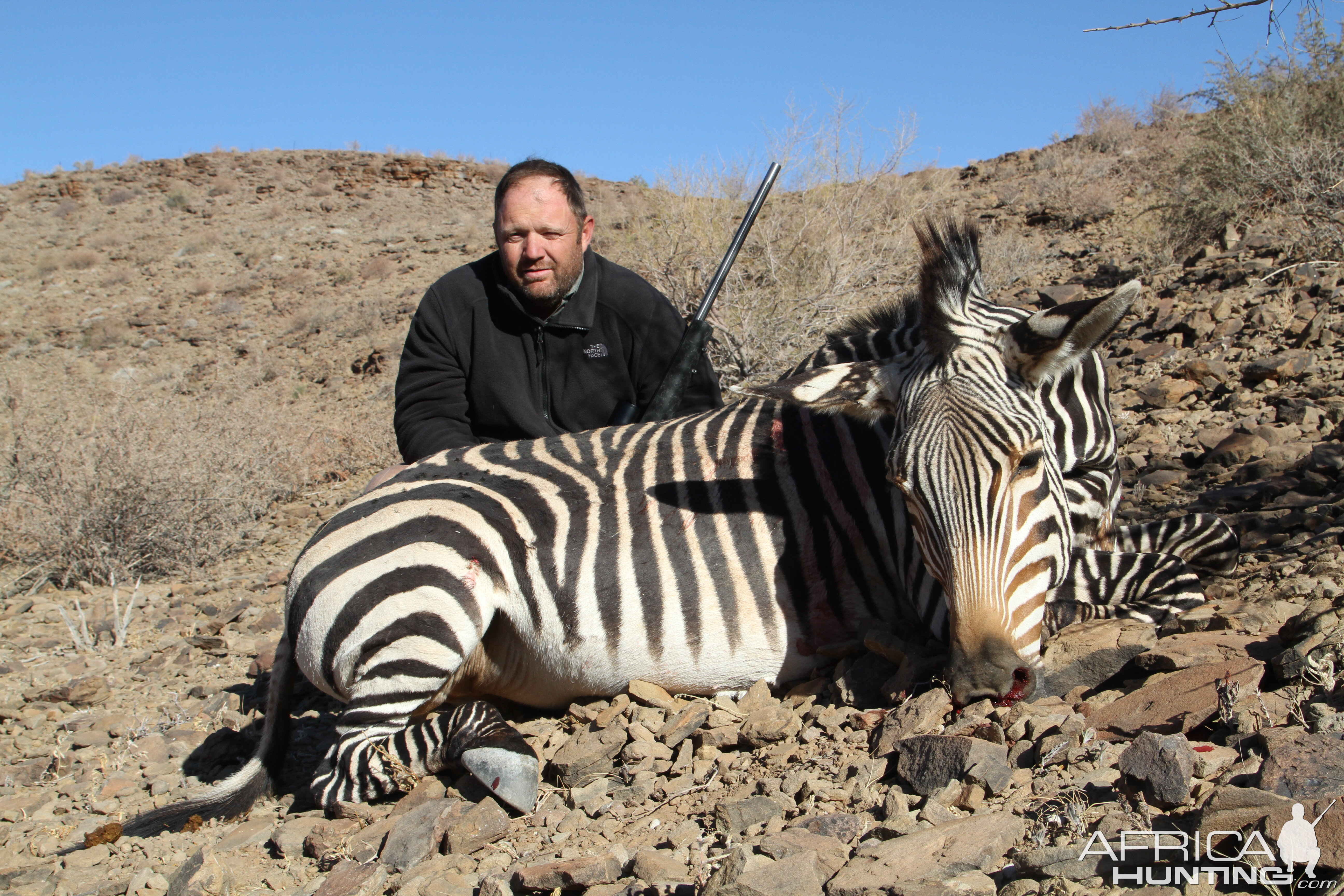 Hunting Hartmann's Mountain Zebra