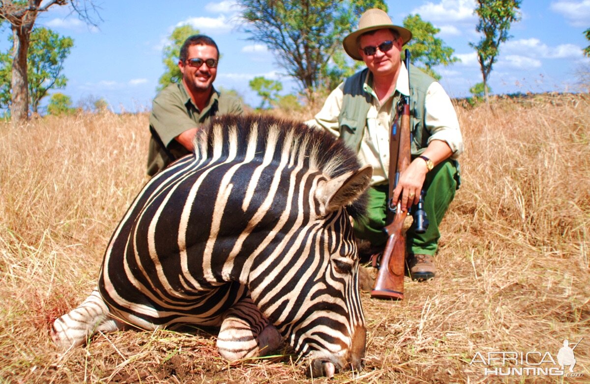 Hunting Hartmann's Mountain Zebra