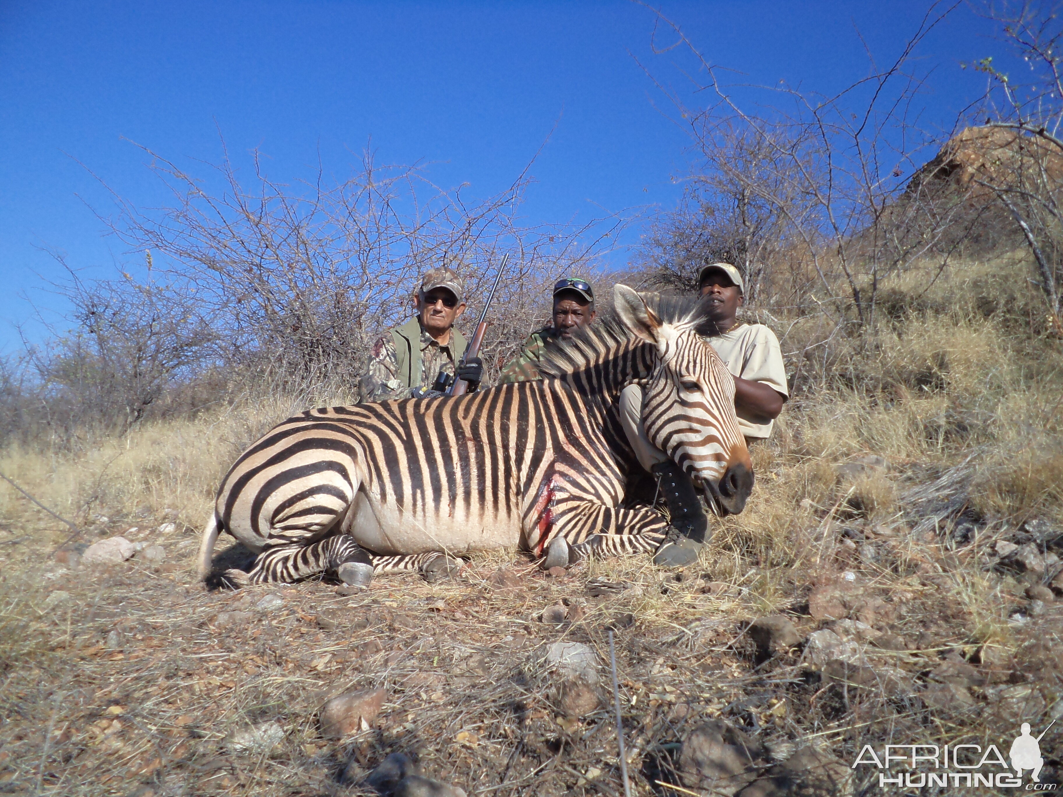 Hunting Hartmann's Zebra in Namibia