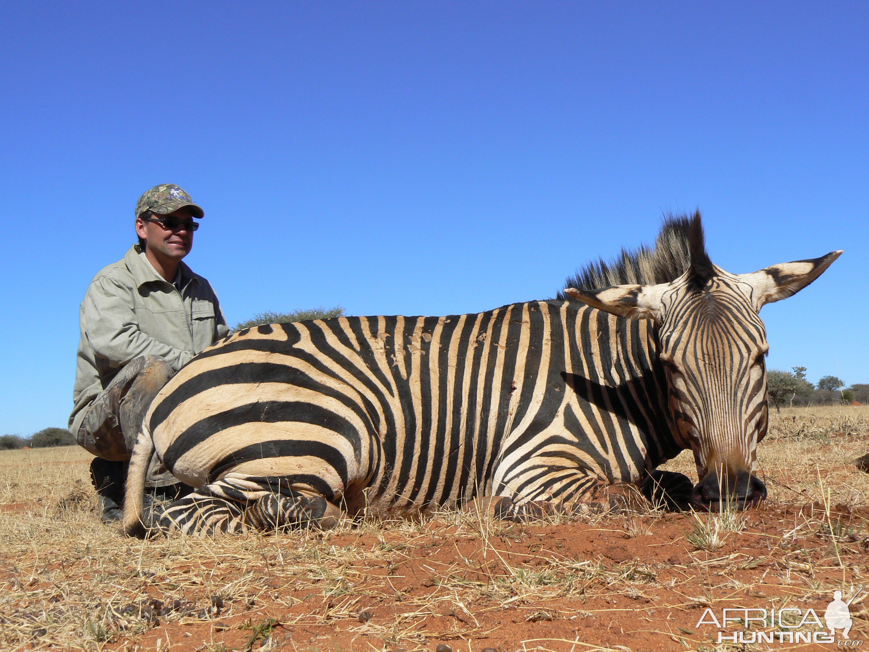 Hunting Hartmann's Zebra in Namibia