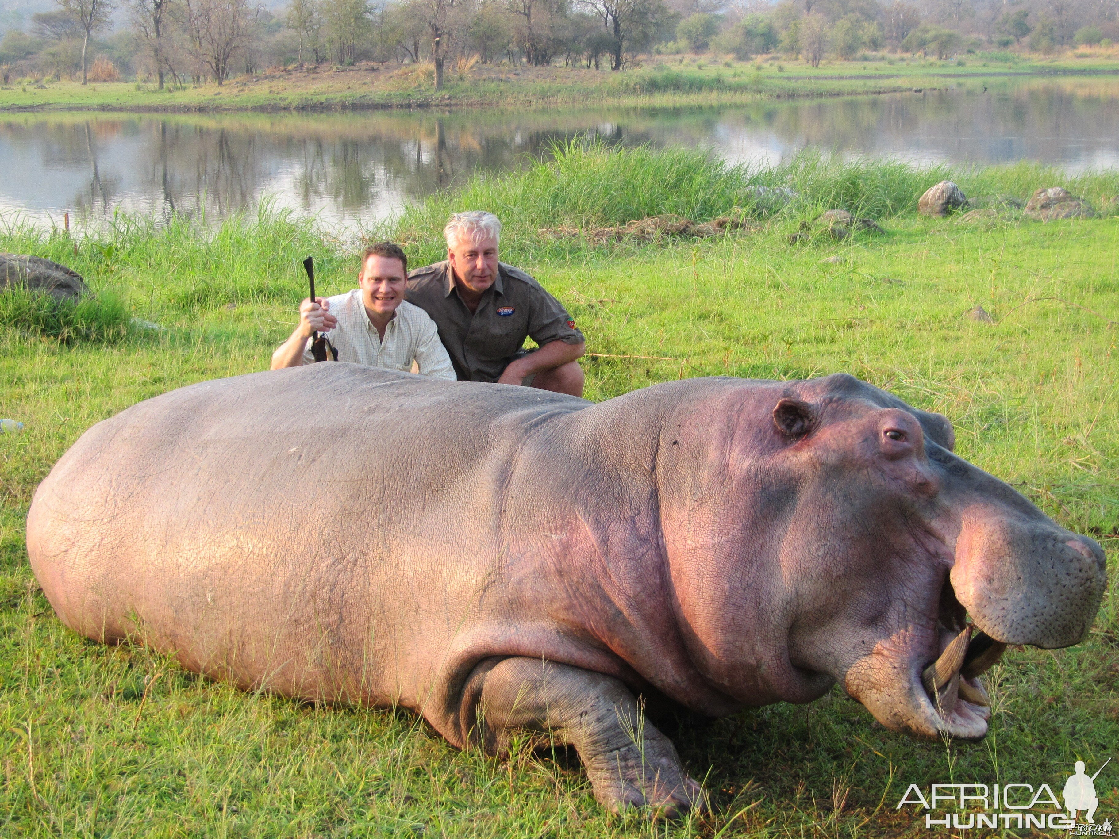 Hunting Hippo in Mozambique