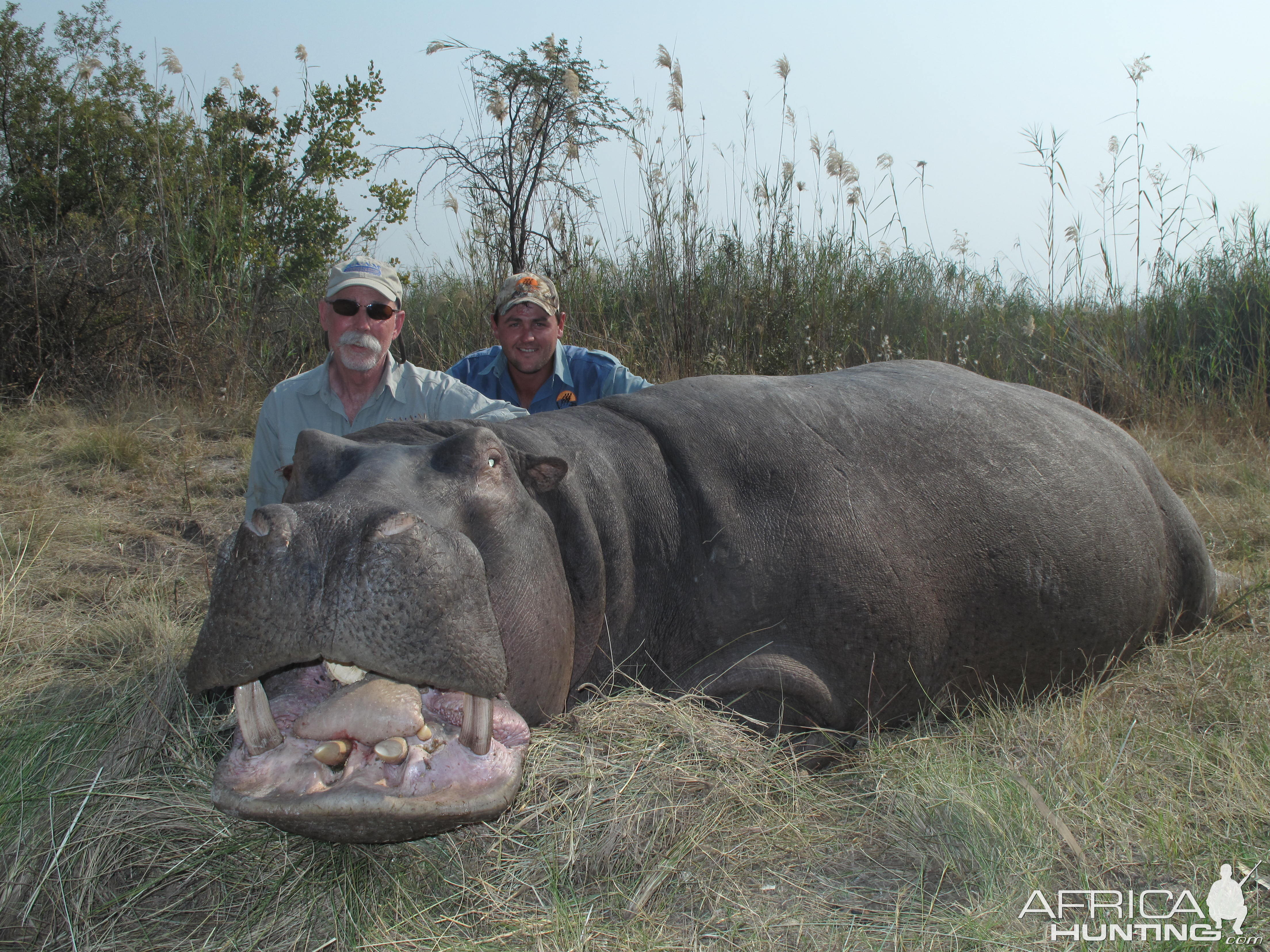 Hunting Hippo in Namibia