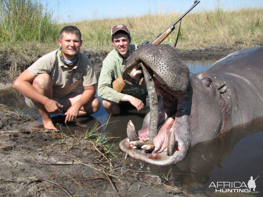 Hunting Hippo in Namibia