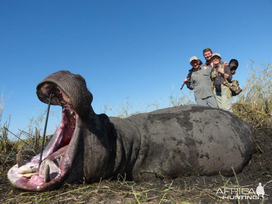 Hunting Hippo in Namibia