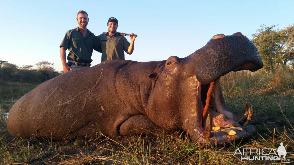 Hunting Hippo in Namibia