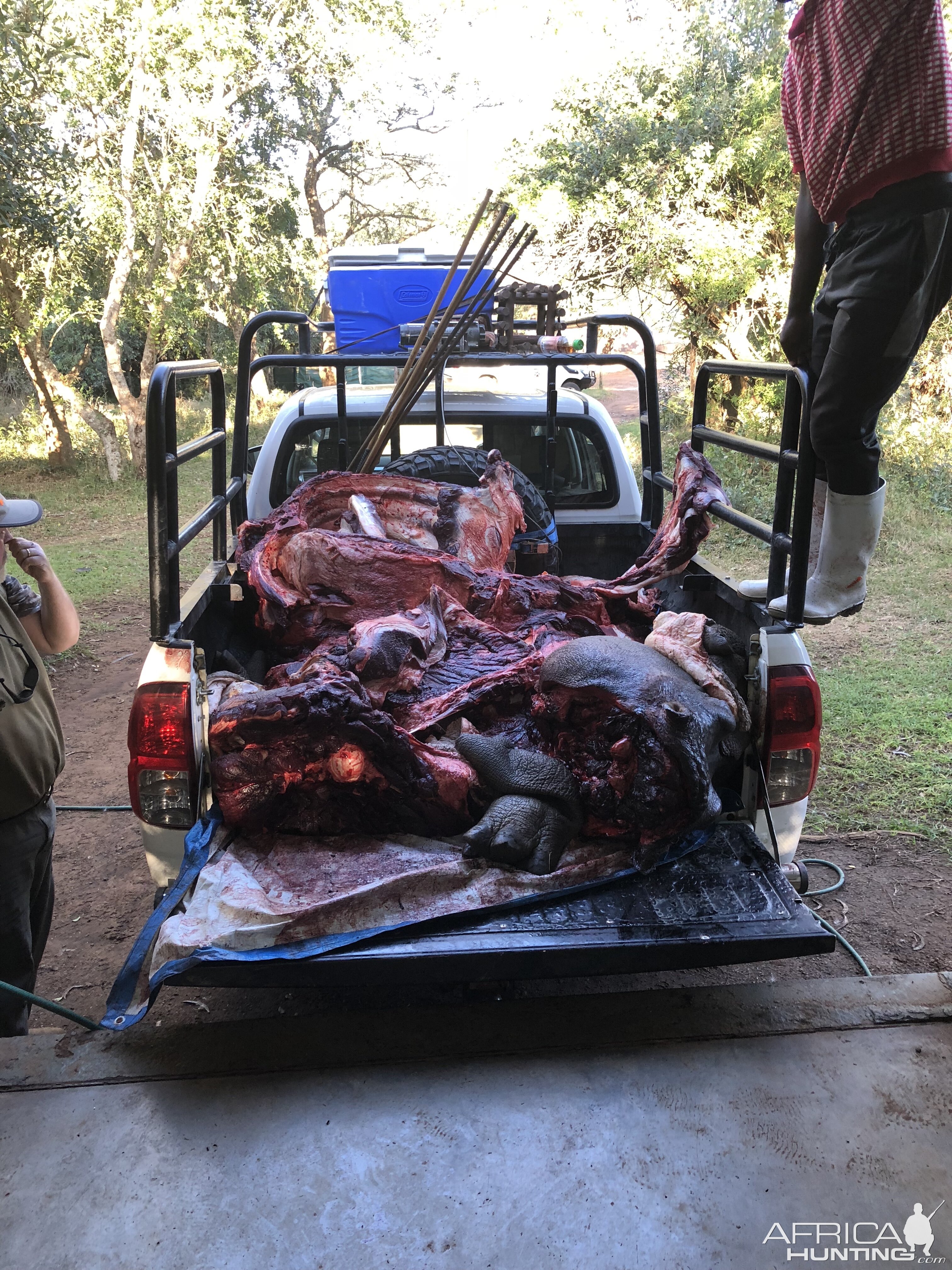 Hunting Hippo in South Africa