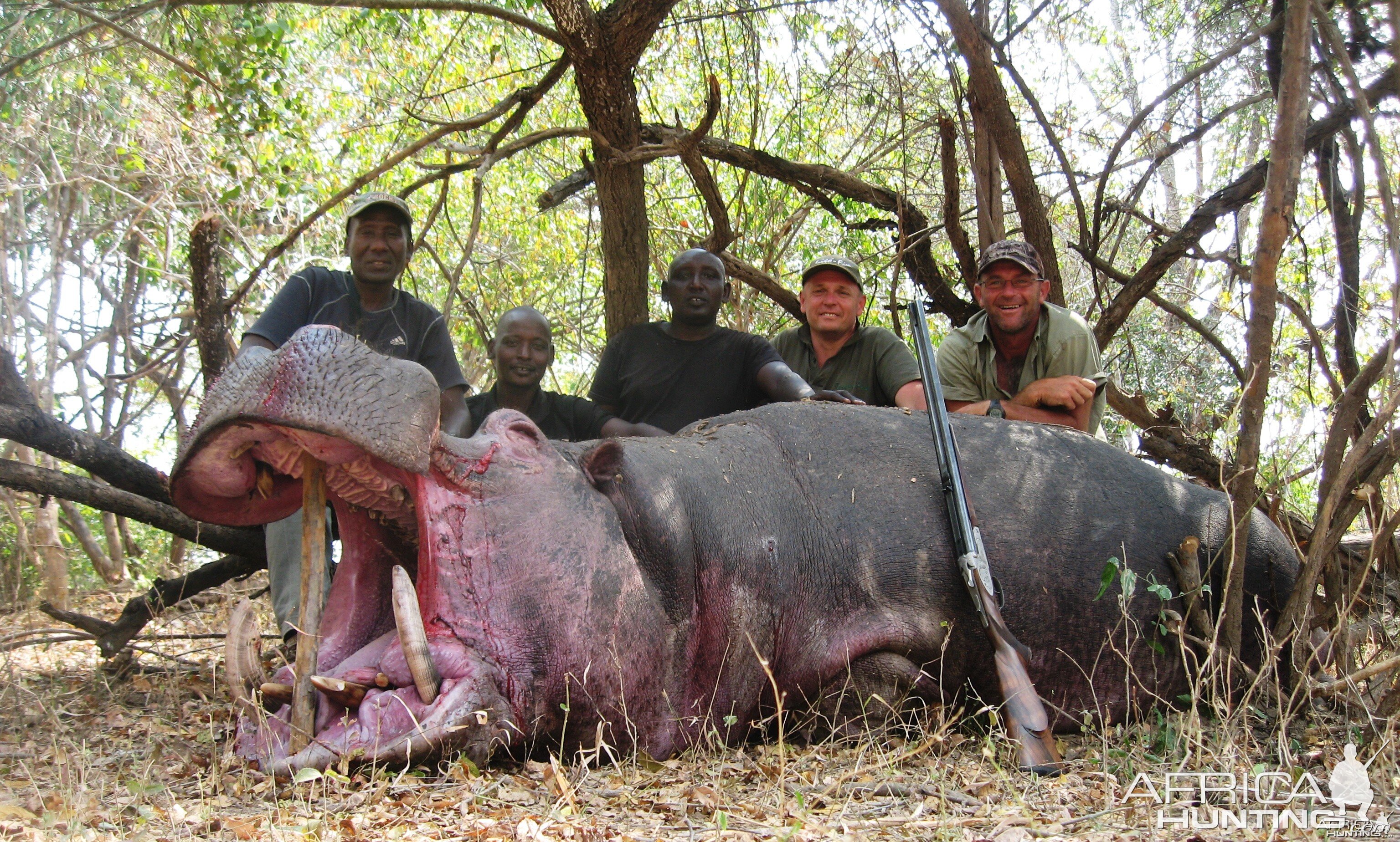 Hunting Hippo in Tanzania