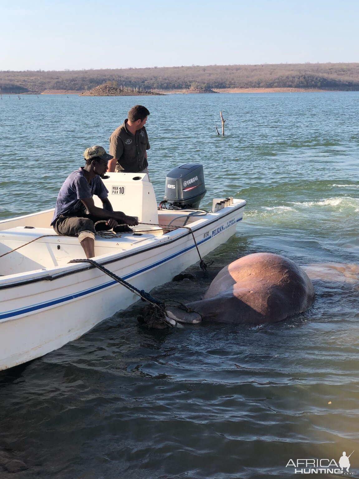 Hunting Hippo in Zimbabwe