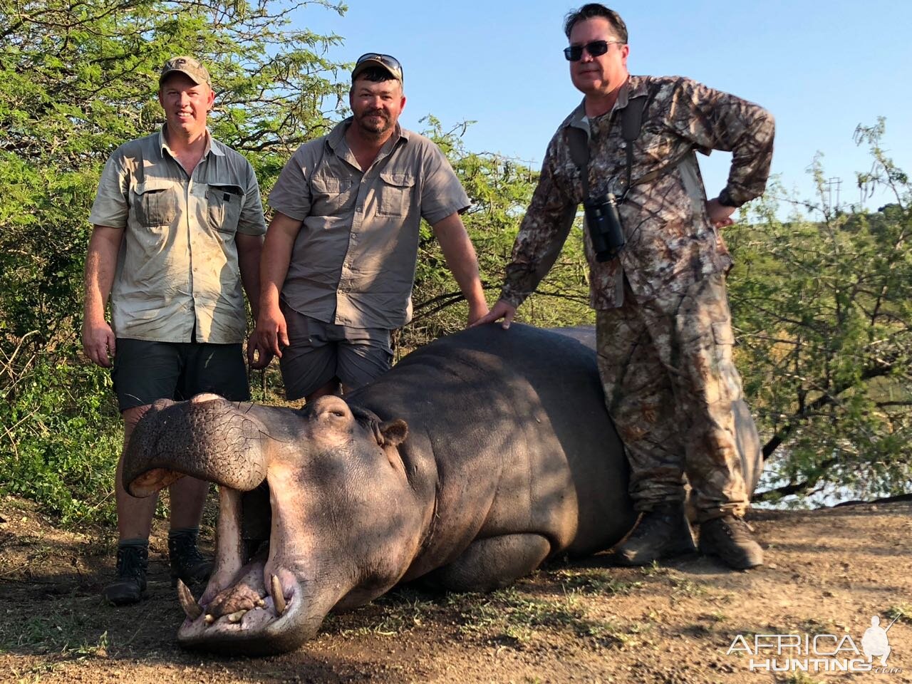 Hunting Hippo South Africa