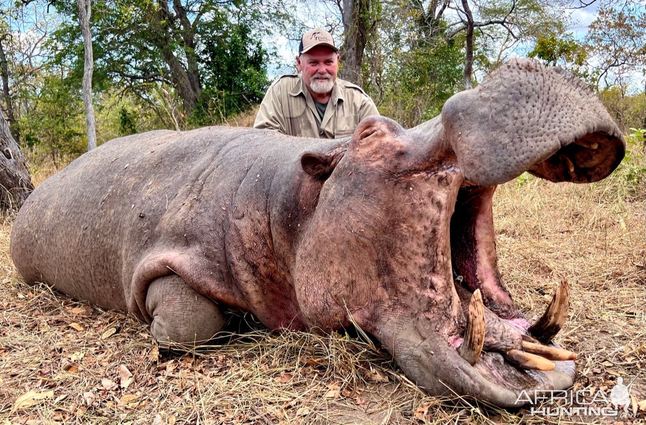 Hunting Hippo Tanzania