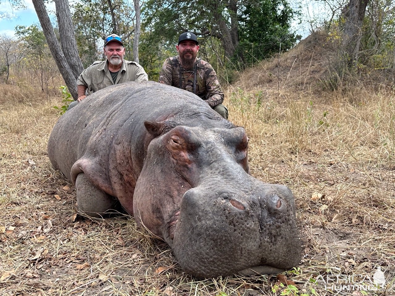 Hunting Hippo Tanzania