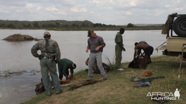 Hunting Hippo Tanzania