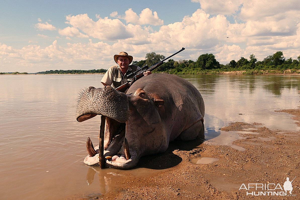 Hunting Hippo Zambia