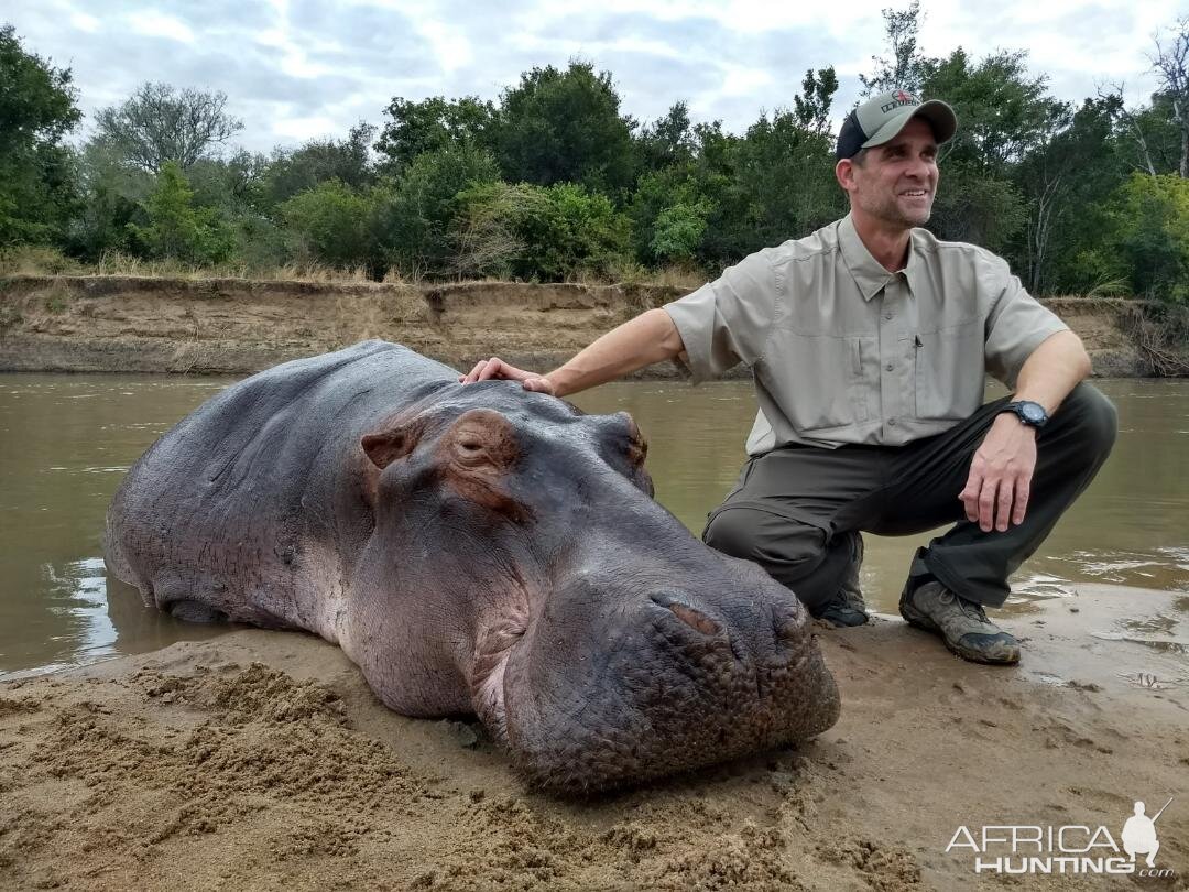 Hunting Hippo Zambia