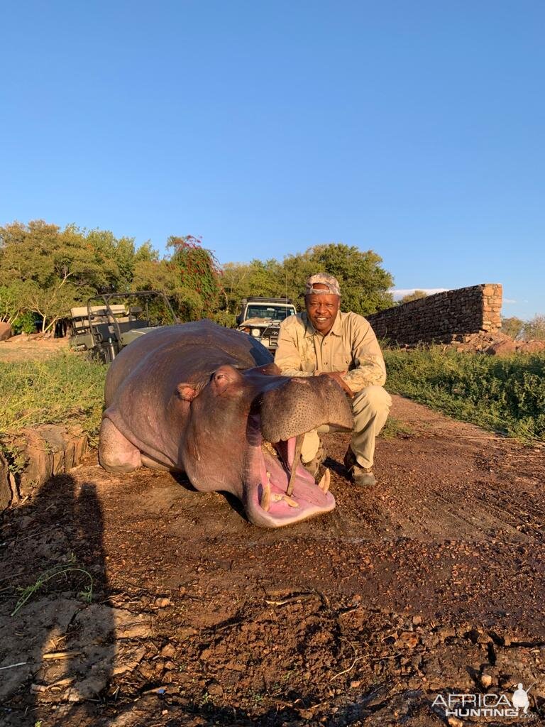 Hunting Hippo Zimbabwe